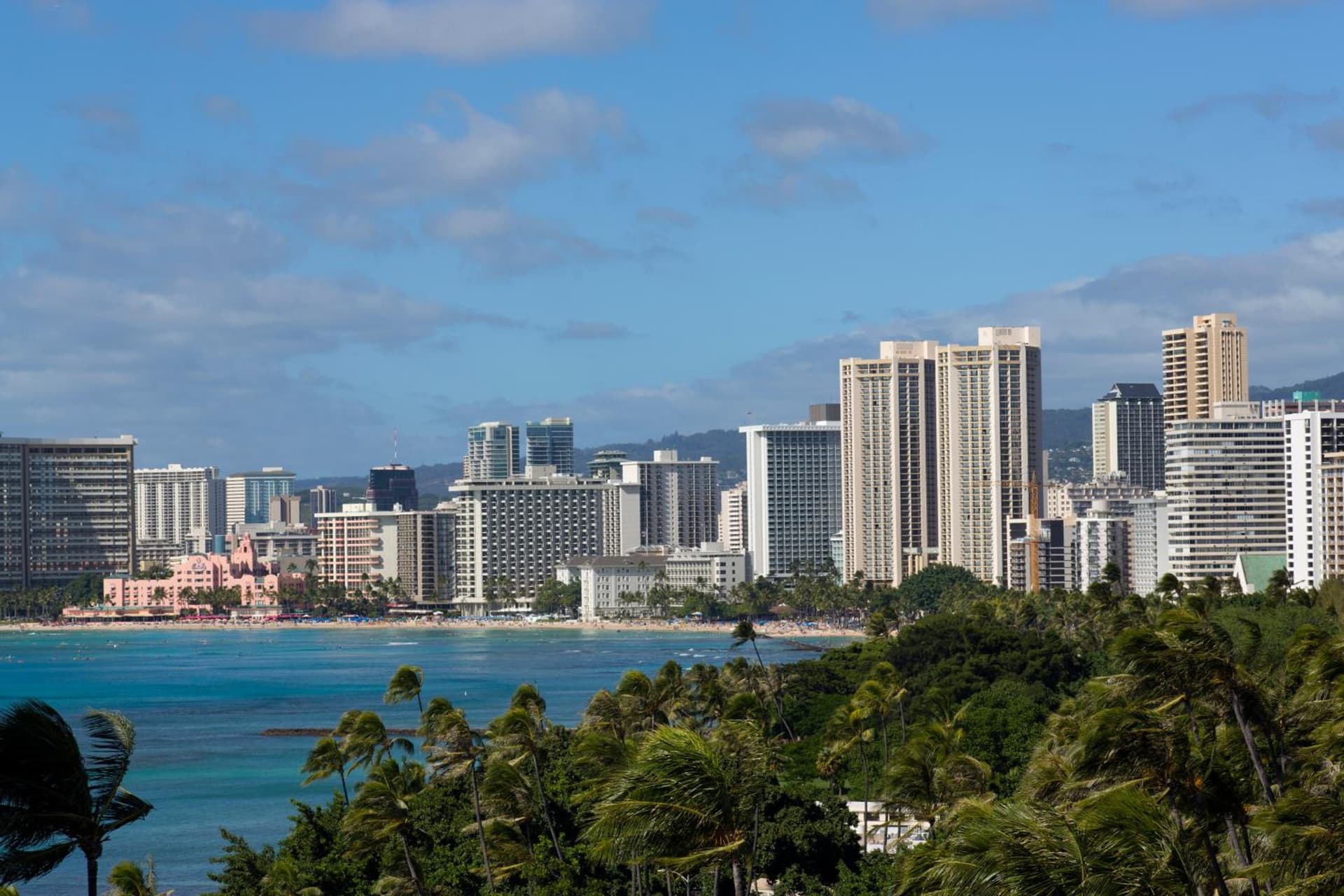 Lotus Honolulu at Diamond Head gallery photo in Honolulu, HI — image 47