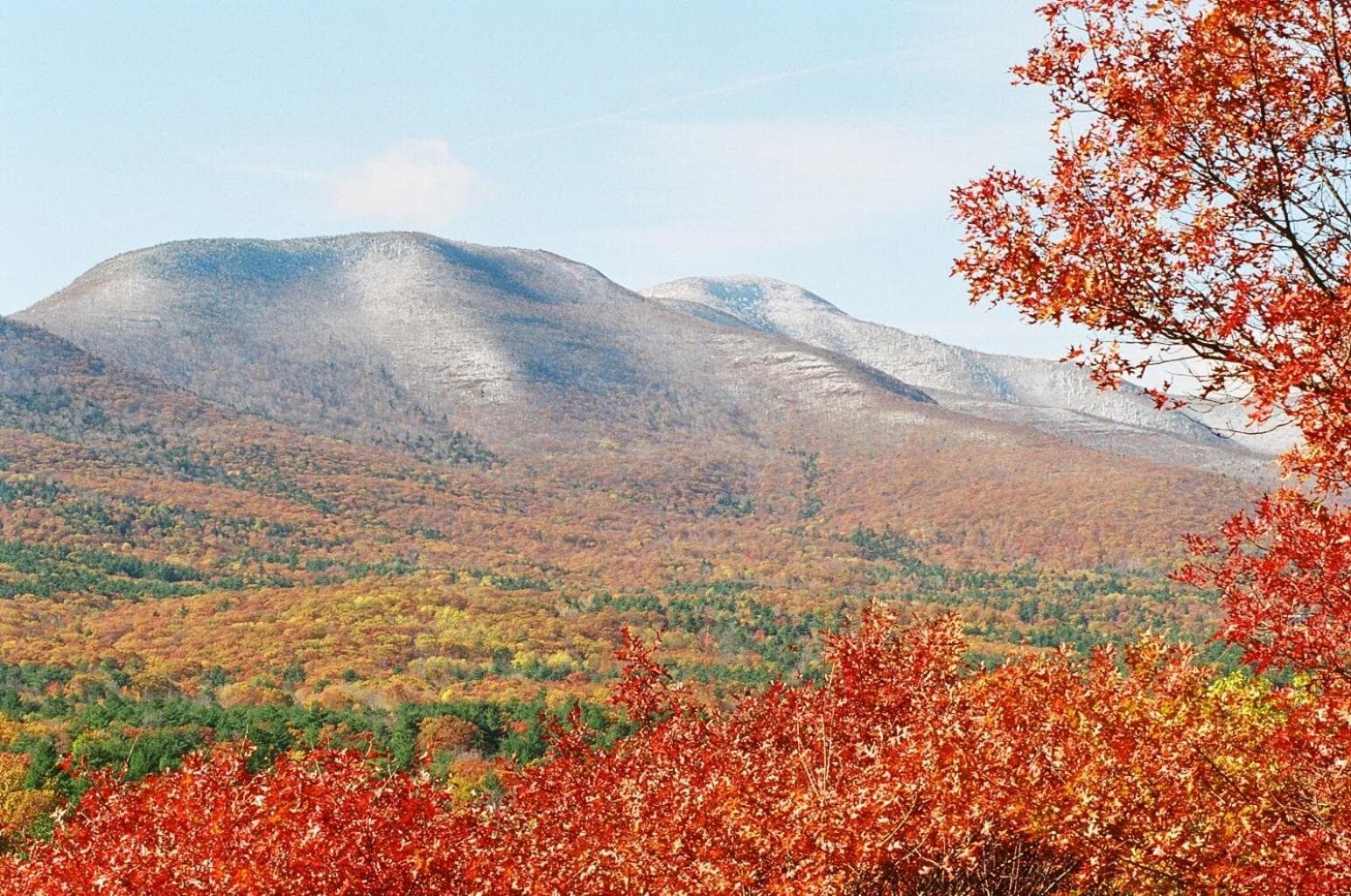 Winter Clove Inn & Resort gallery photo in Round Top, NY — image 33