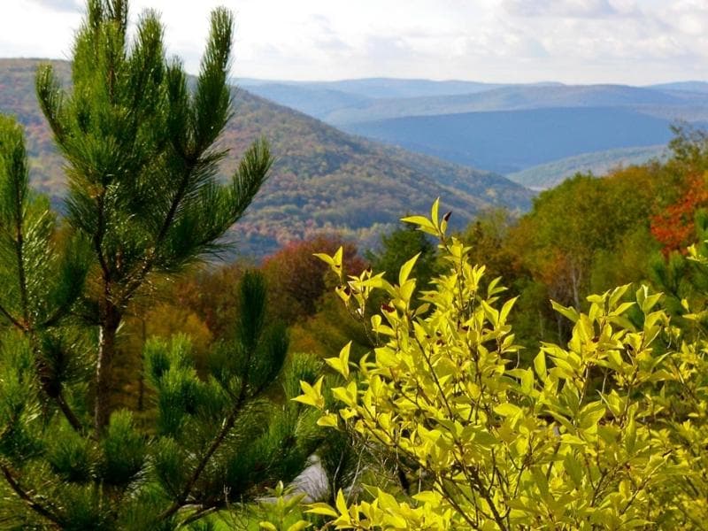 Winter Clove Inn & Resort gallery photo in Round Top, NY — image 44