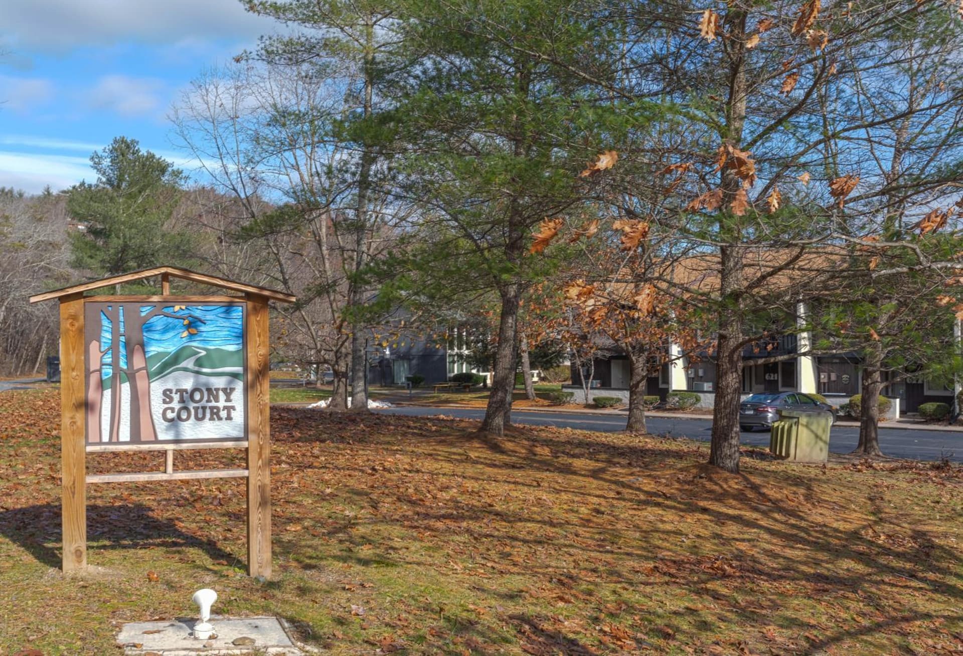 Stony Court by Coolvacay gallery photo in Basye, VA — image 21