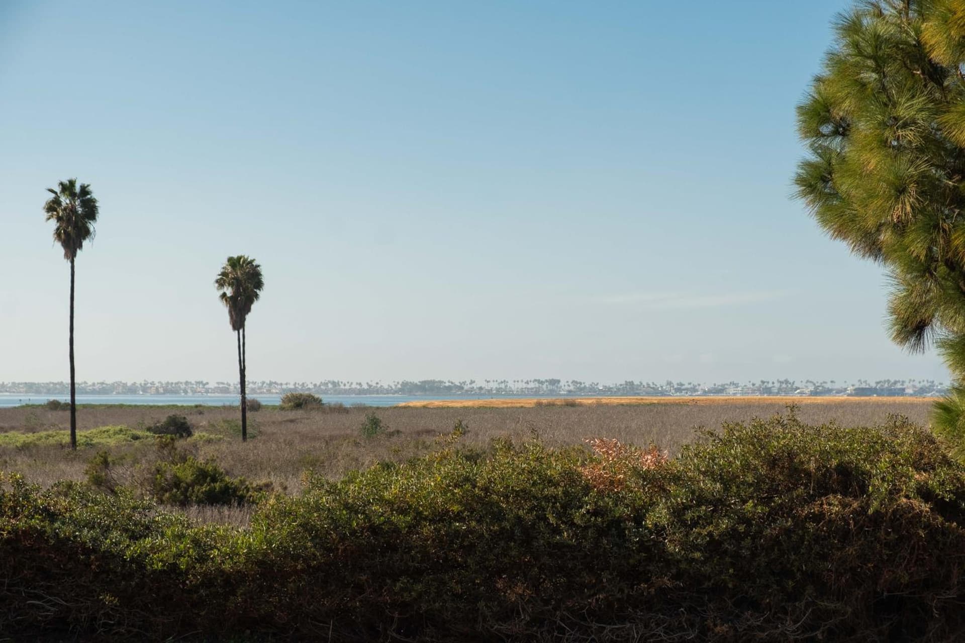 Rambler Hotel interior in Chula Vista, CA — gallery photo 2
