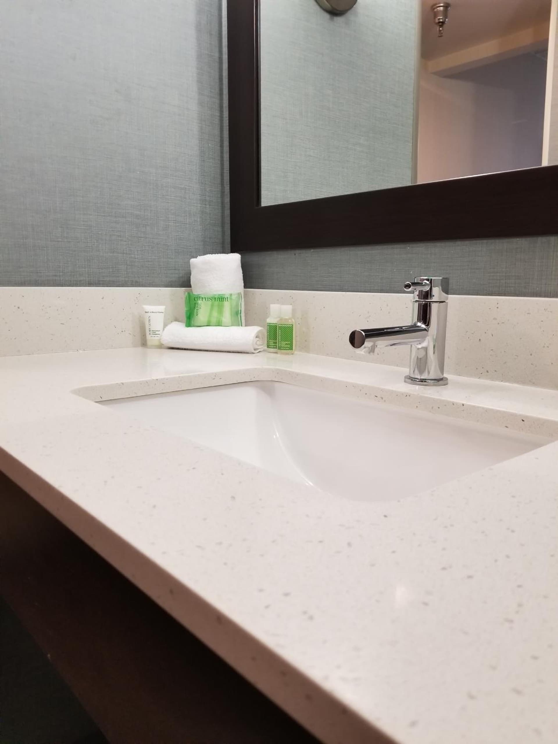 Holiday Inn Youngstown-South - Boardman by IHG gallery photo in Boardman — image 34