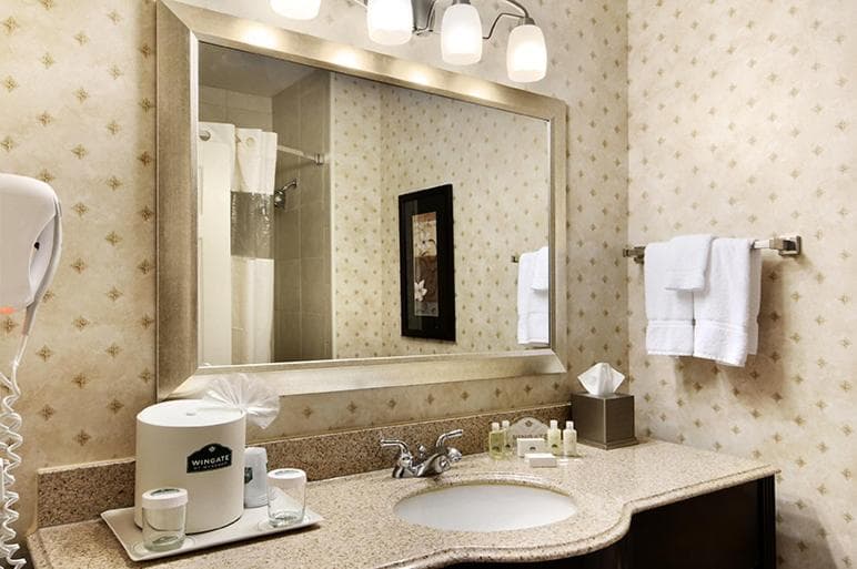 Wingate by Wyndham New Braunfels gallery photo in New Braunfels, TX — image 29