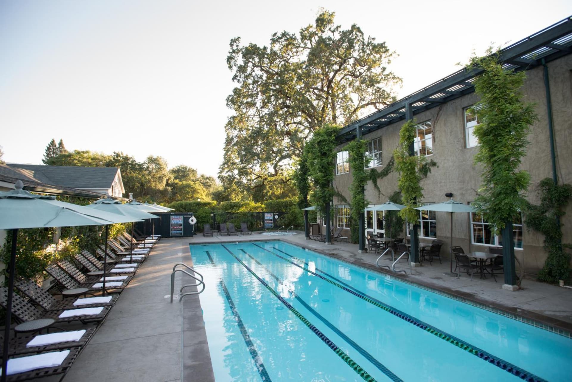Southbridge Napa Valley gallery photo in St. Helena, CA — image 24