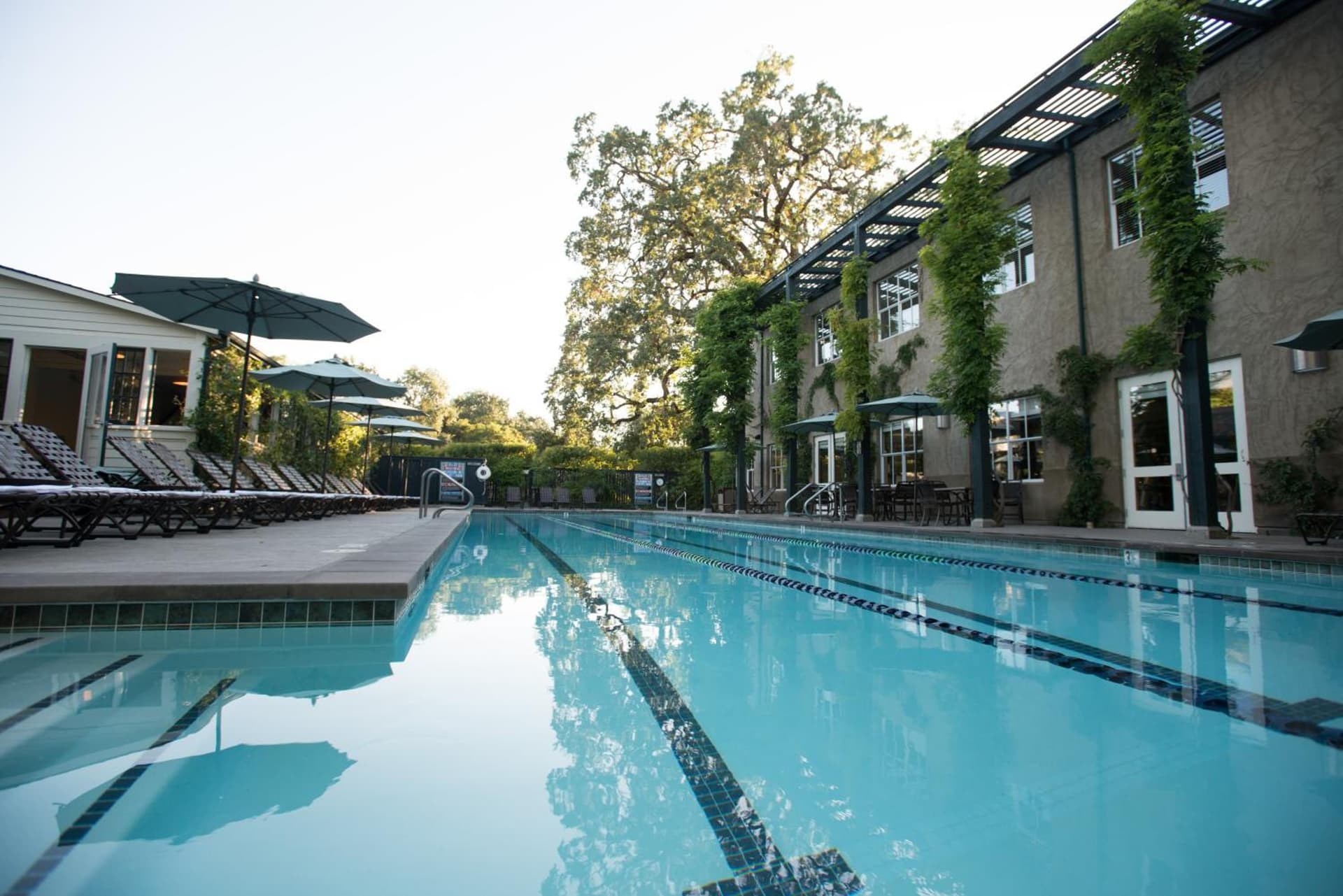 Southbridge Napa Valley gallery photo in St. Helena, CA — image 25