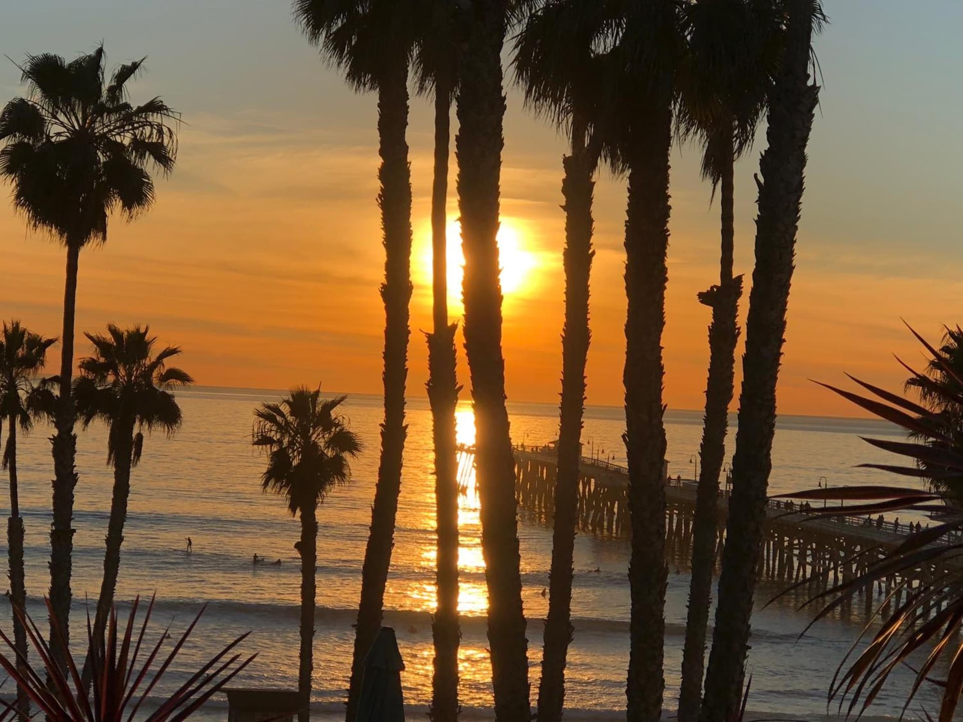 Sea Horse Resort gallery photo in San Clemente, CA — image 11