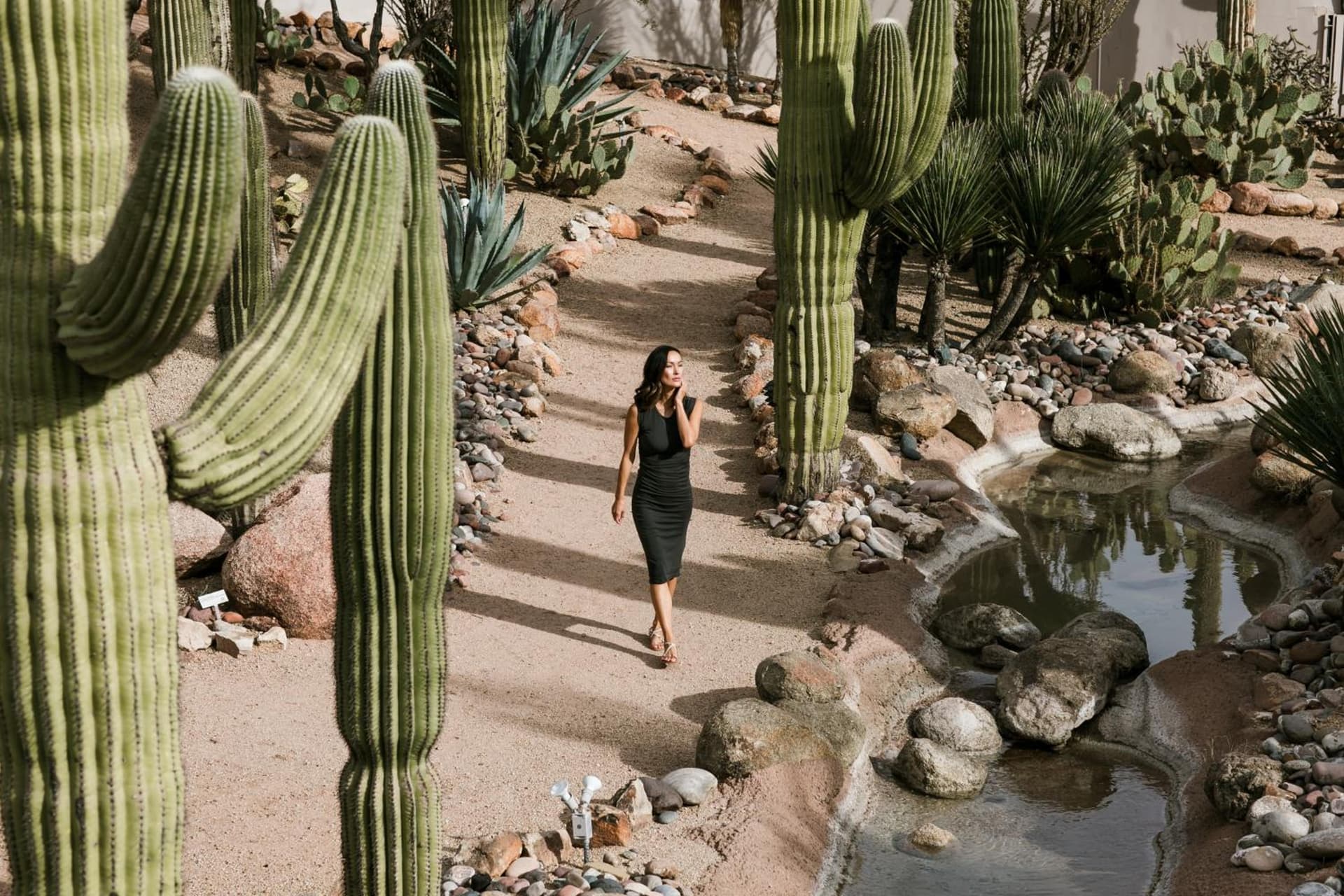 CIVANA Wellness Resort & Spa gallery photo in Scottsdale, AZ — image 27