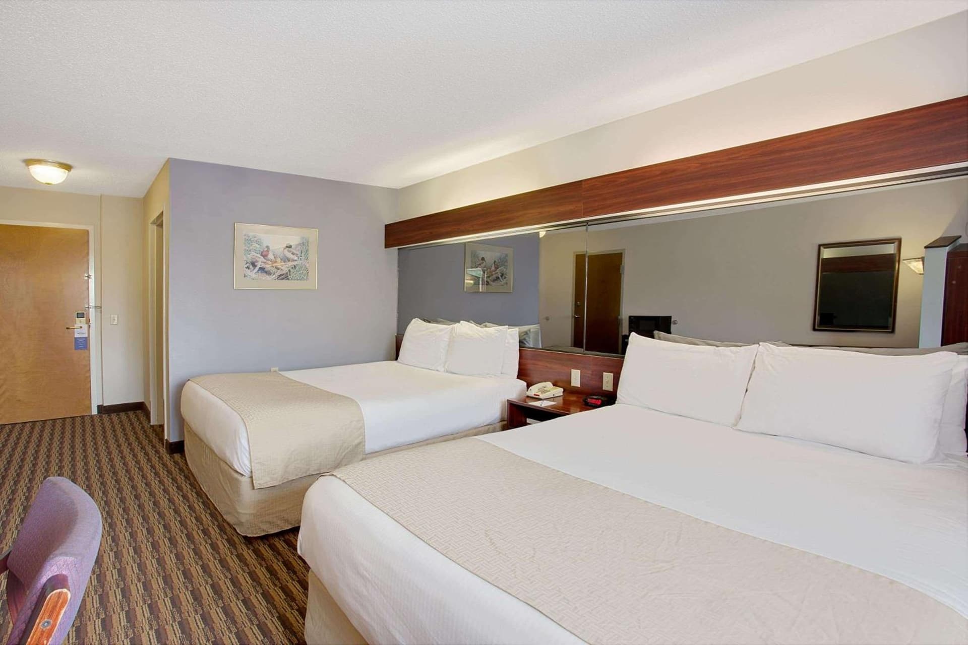 Microtel Inn by Wyndham - Murfreesboro gallery photo in Murfreesboro, TN — image 4