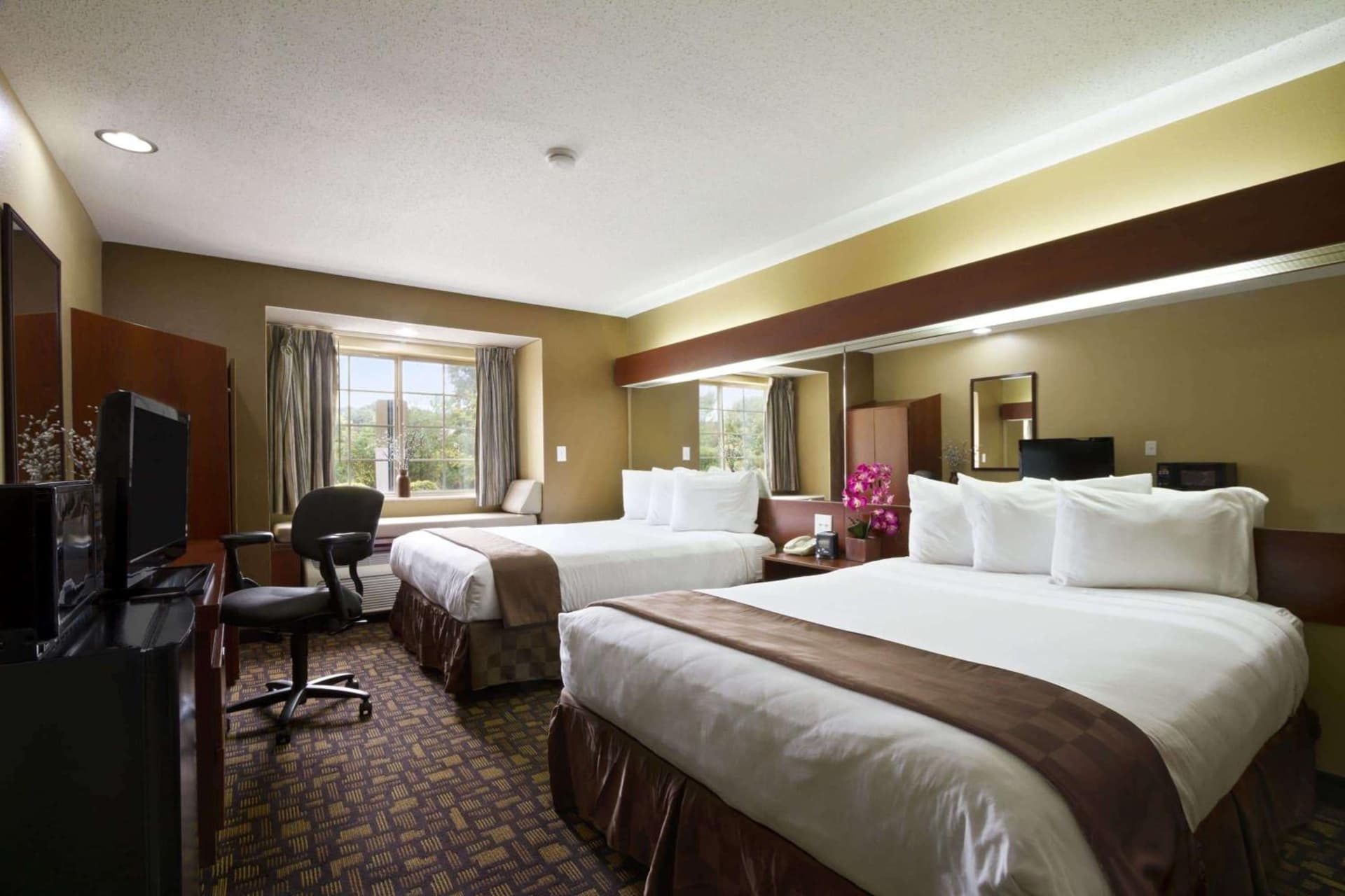 Microtel Inn & Suites by Wyndham Lithonia/Stone Mountain property views in Lithonia, GA — gallery photo 3