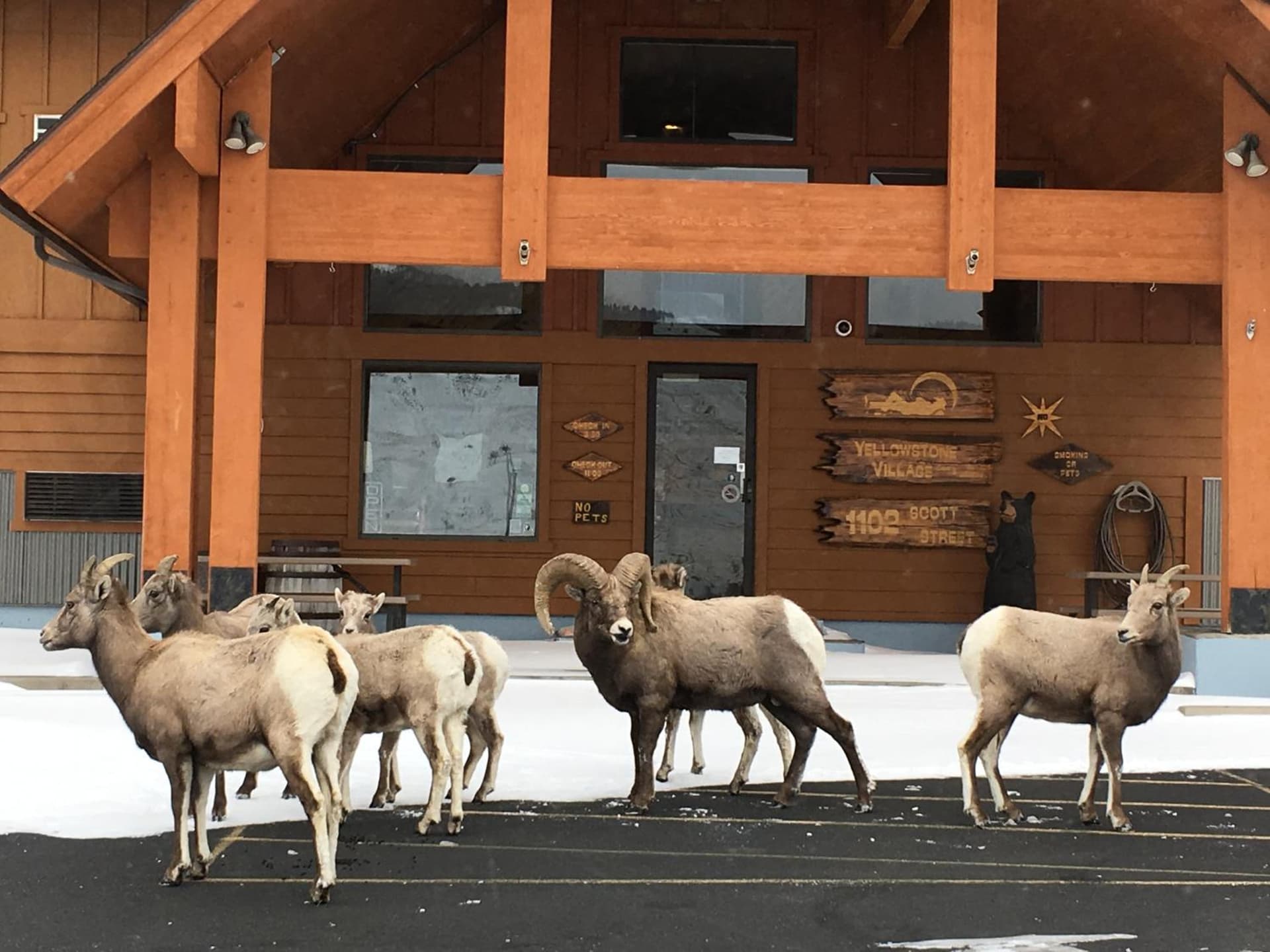 Yellowstone Village Inn and Suites interior in Gardiner, MT — gallery photo 2