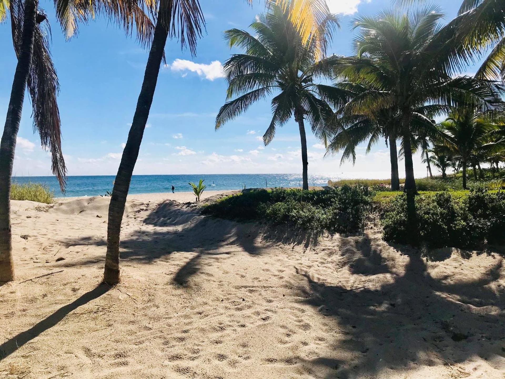 Ebb Tide Resort gallery photo in Pompano Beach, FL — image 15