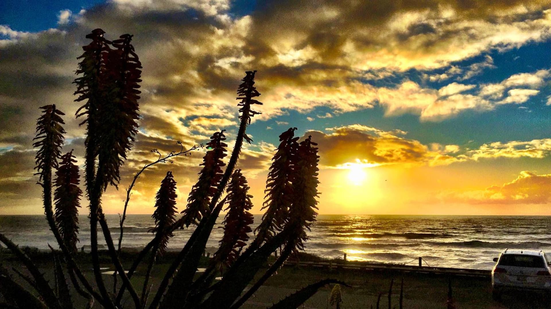 Cambria Shores Inn gallery photo in Cambria, CA — image 56