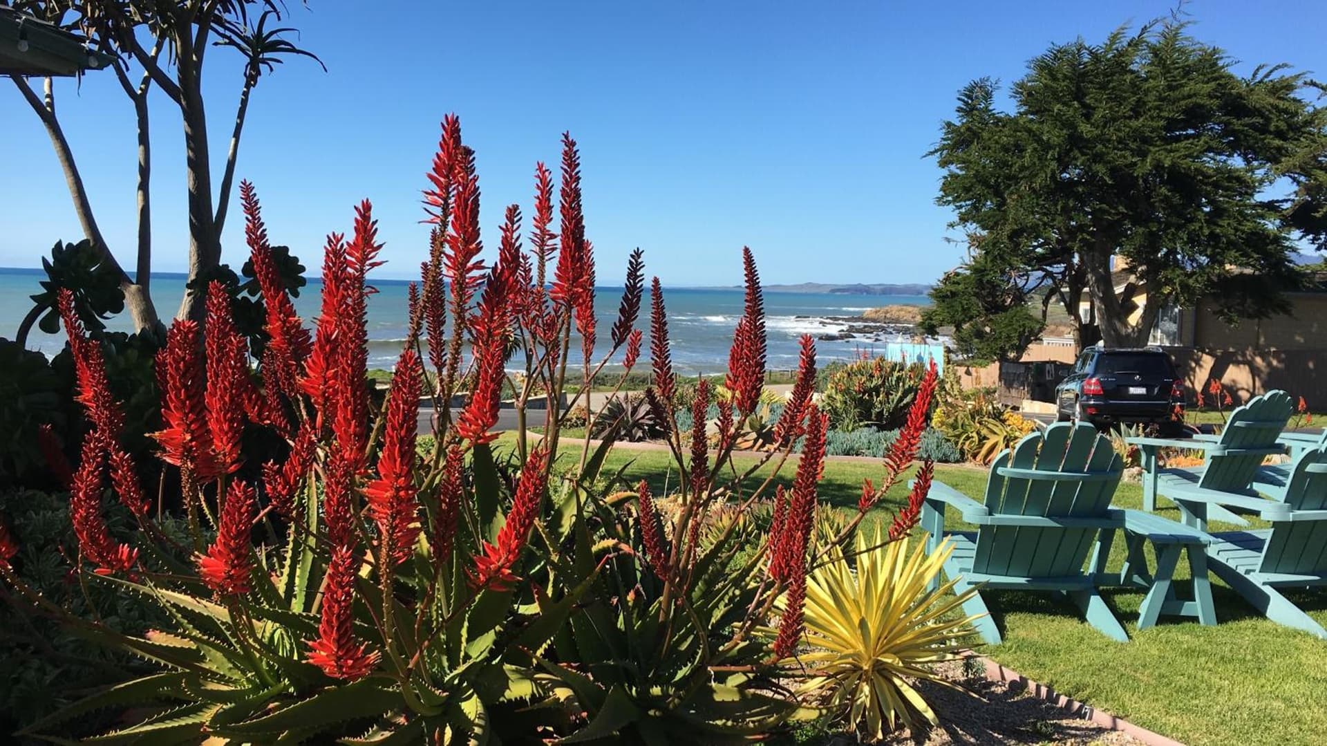 Cambria Shores Inn gallery photo in Cambria, CA — image 37