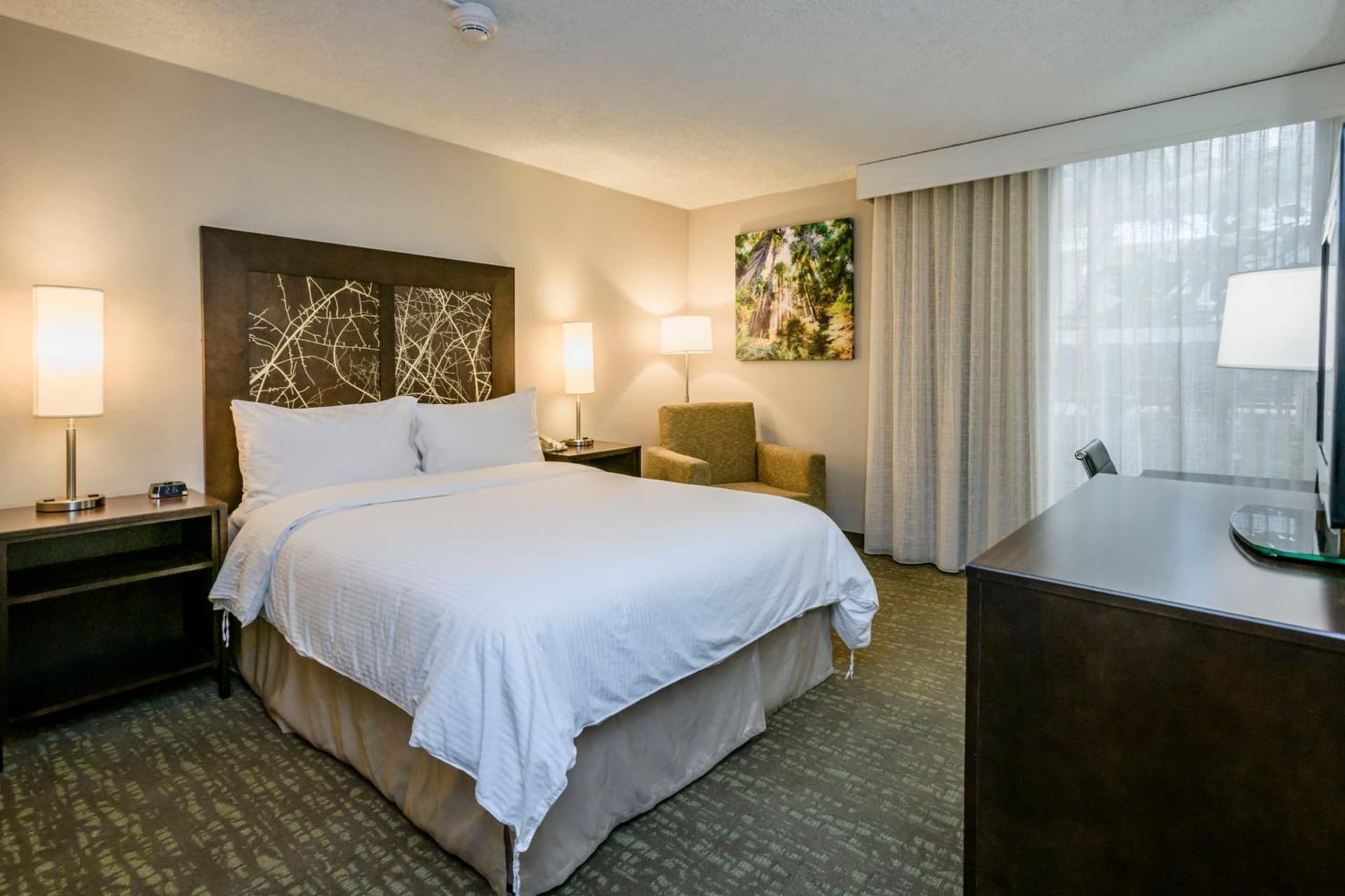 Wyndham Garden Fresno Yosemite Airport gallery photo in Fresno, CA — image 51