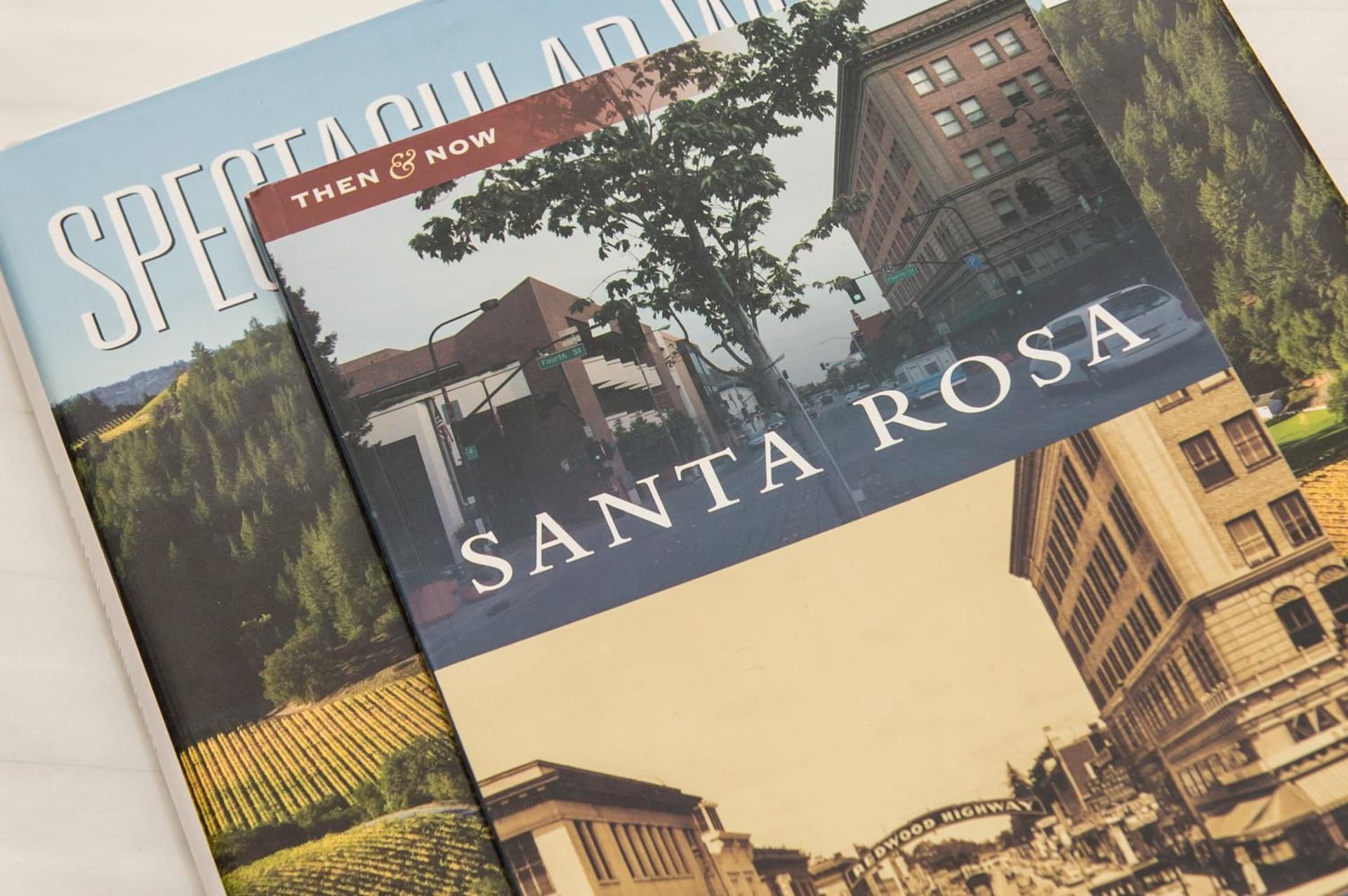 Hotel E interior in Santa Rosa, CA — gallery photo 2