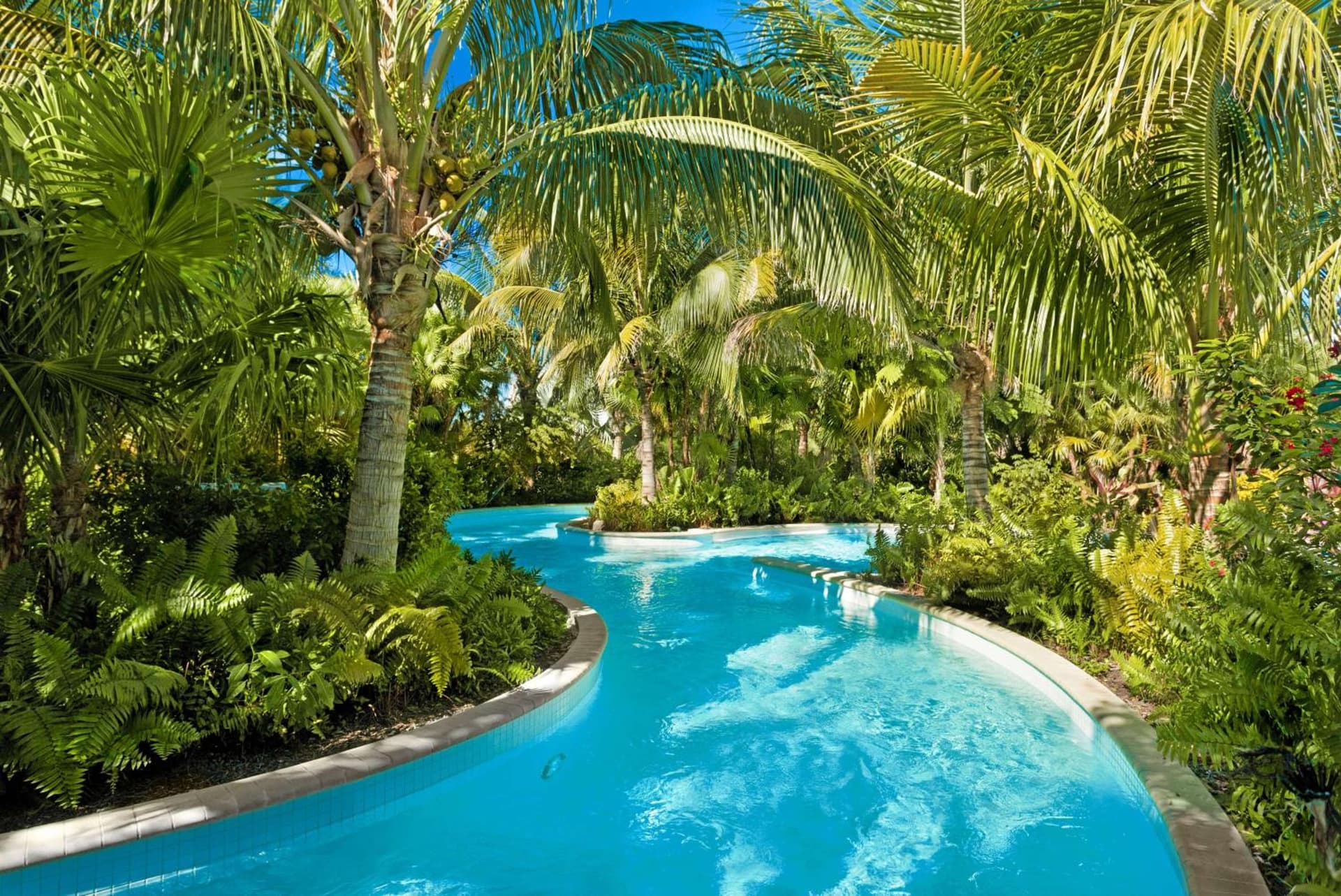 Hyatt Regency Coconut Point Resort & Spa Near Naples gallery photo in Bonita Springs, FL — image 48