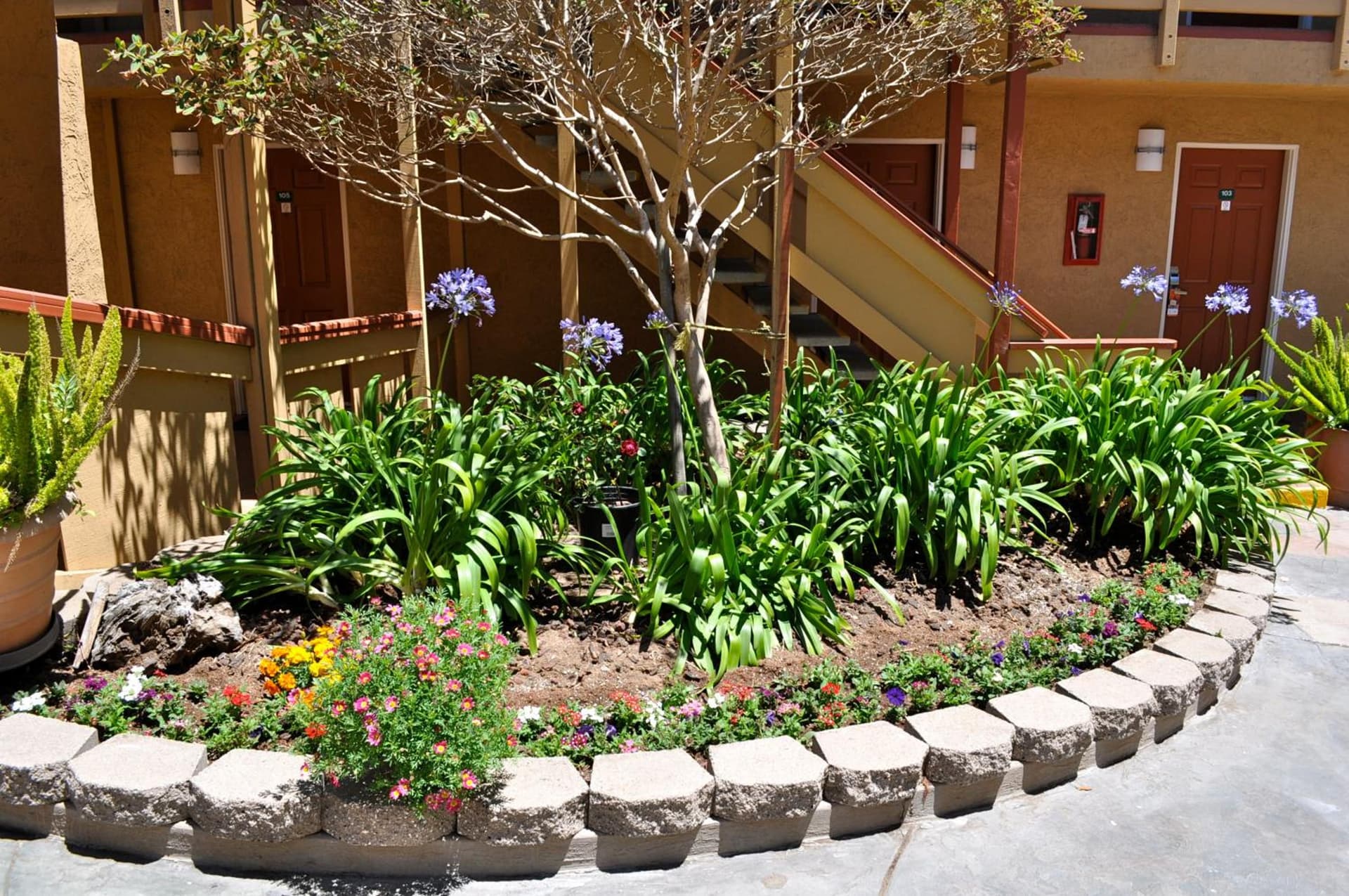 Howard Johnson by Wyndham Santa Cruz gallery photo in Santa Cruz, CA — image 23