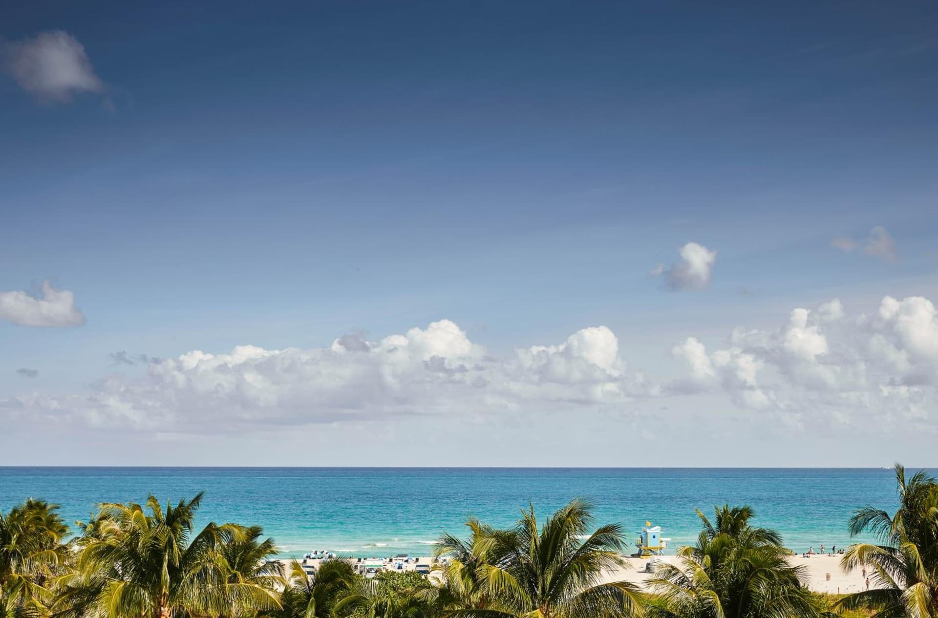 The Betsy Hotel, South Beach gallery photo in Miami Beach, FL — image 93