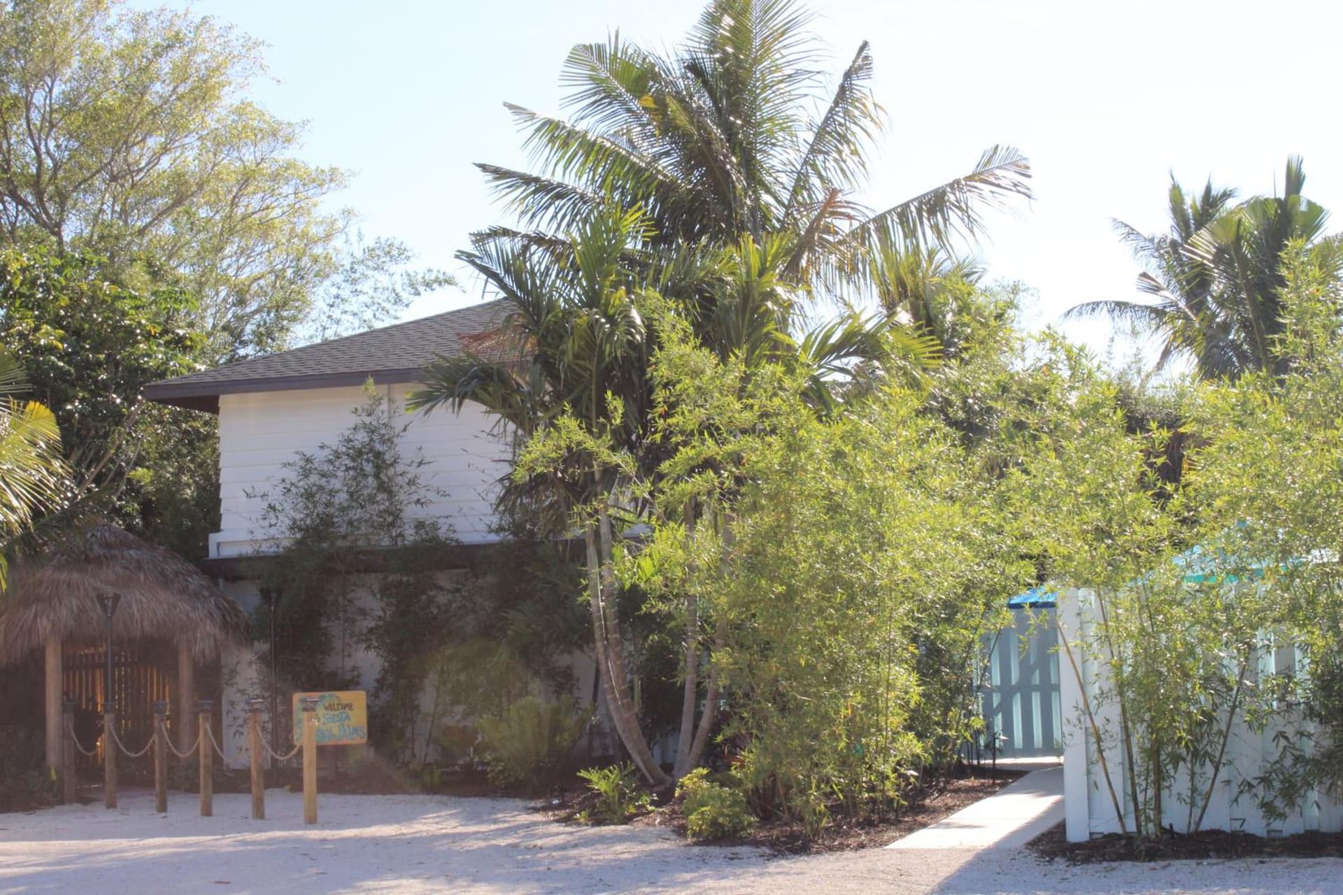 Siesta Key Palms Resort gallery photo in Sarasota, FL — image 182
