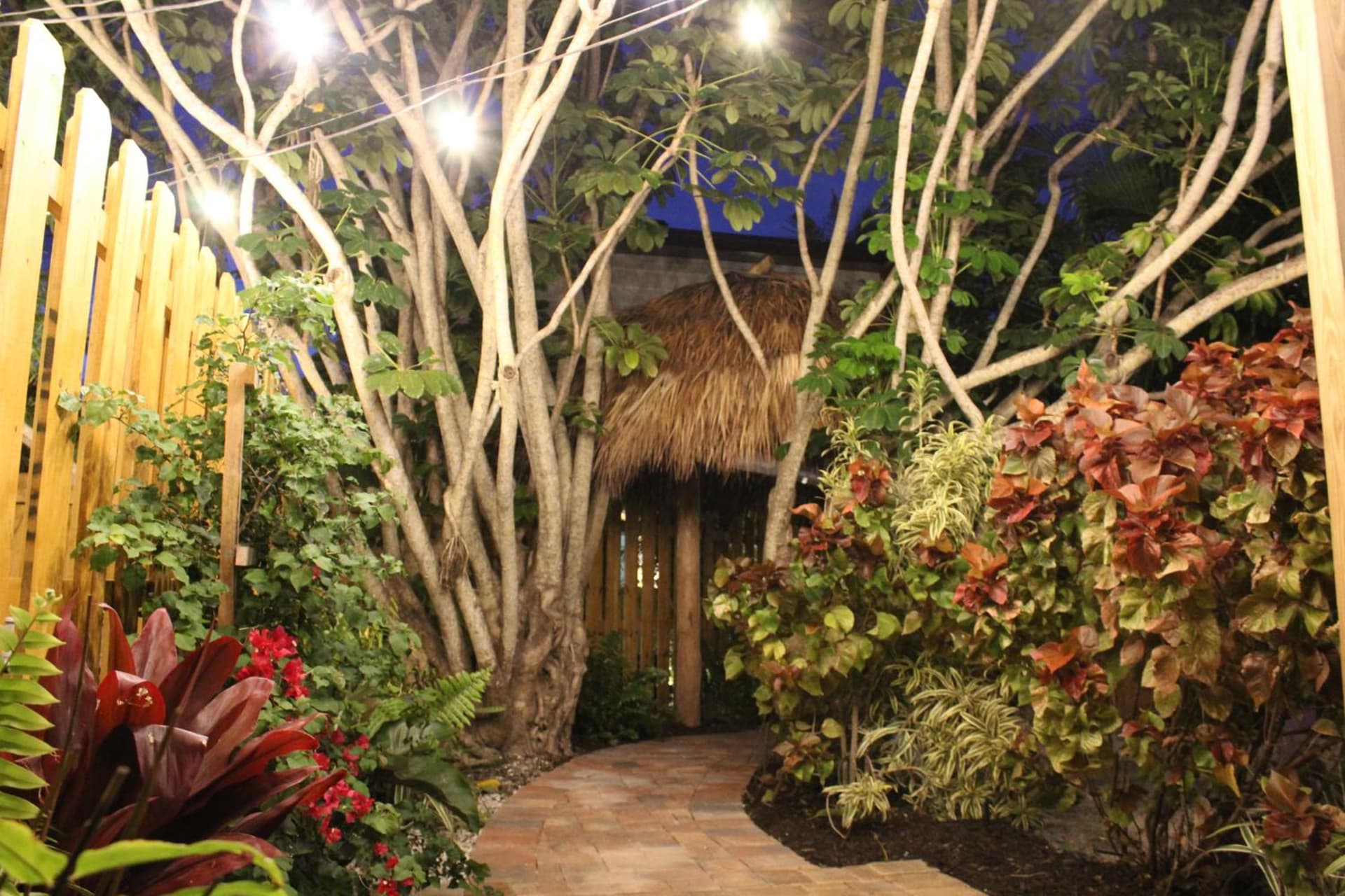 Siesta Key Palms Resort gallery photo in Sarasota, FL — image 111
