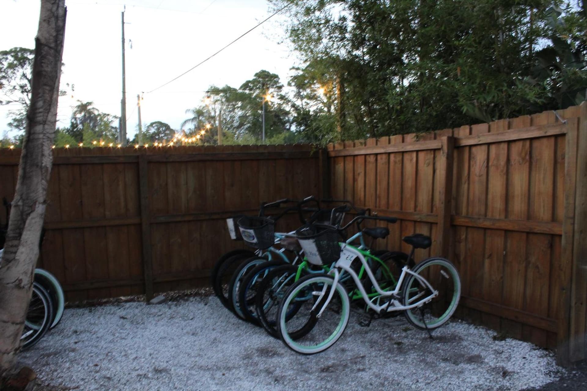 Siesta Key Palms Resort gallery photo in Sarasota, FL — image 200