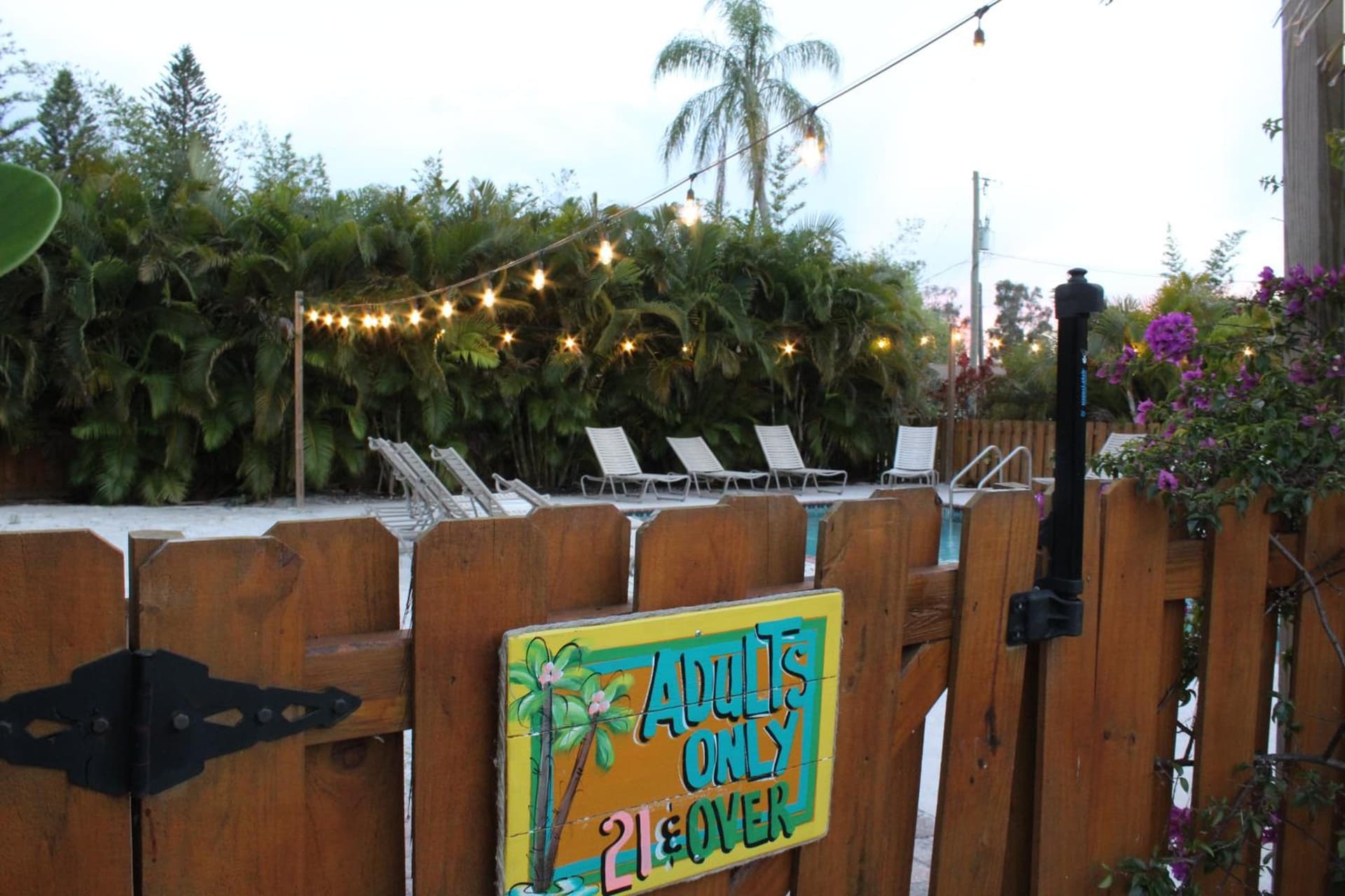 Siesta Key Palms Resort gallery photo in Sarasota, FL — image 122