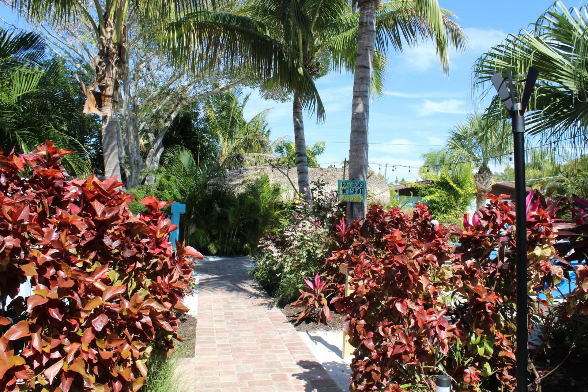 Siesta Key Palms Resort gallery photo in Sarasota, FL — image 124