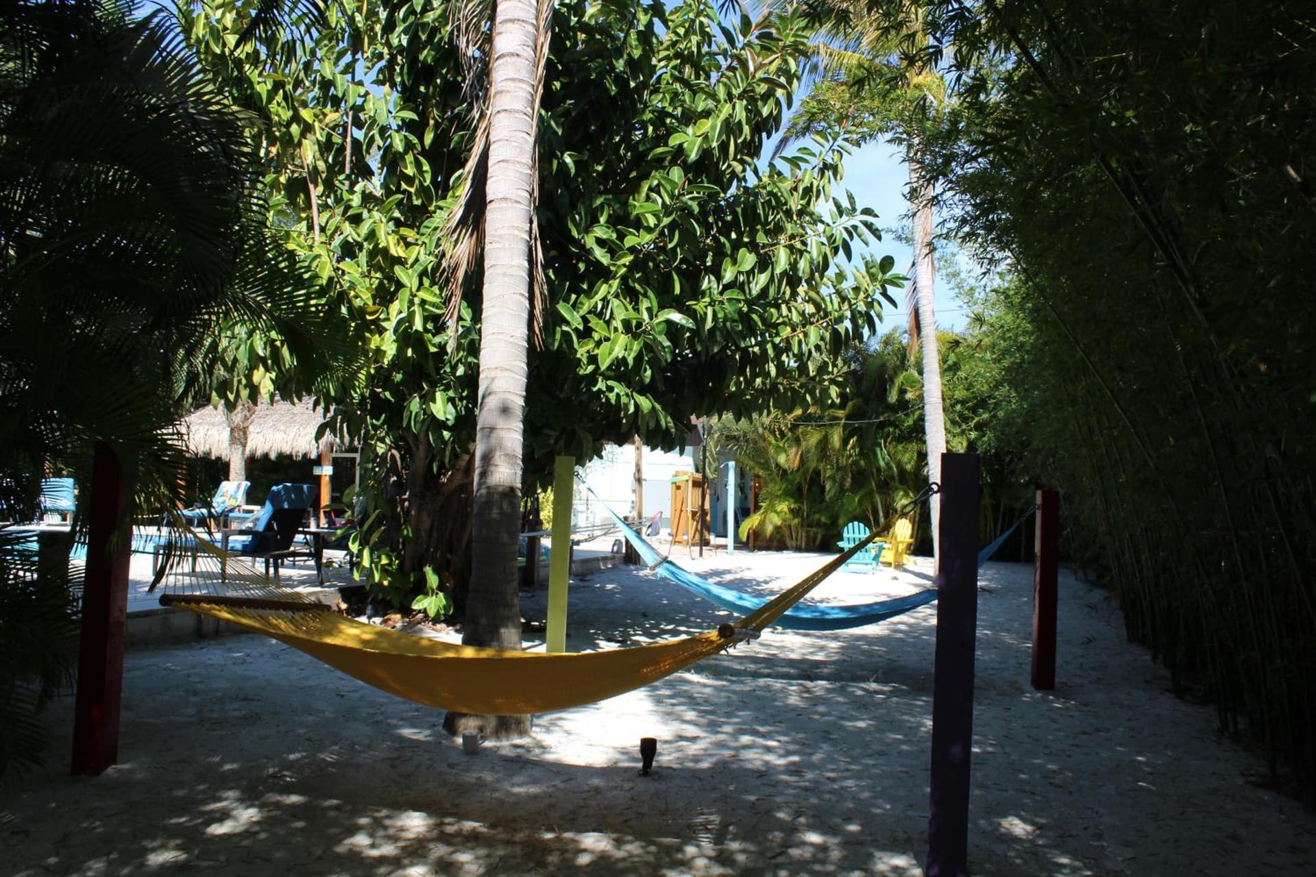 Siesta Key Palms Resort gallery photo in Sarasota, FL — image 81
