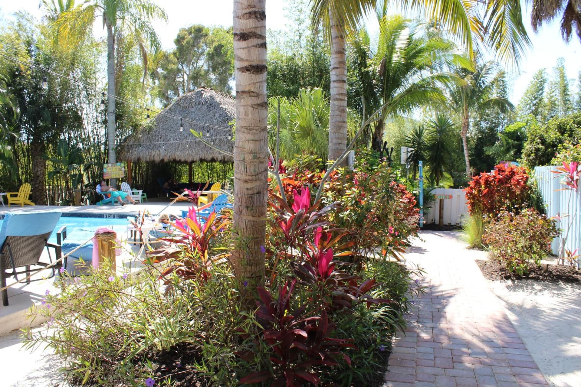Siesta Key Palms Resort gallery photo in Sarasota, FL — image 120
