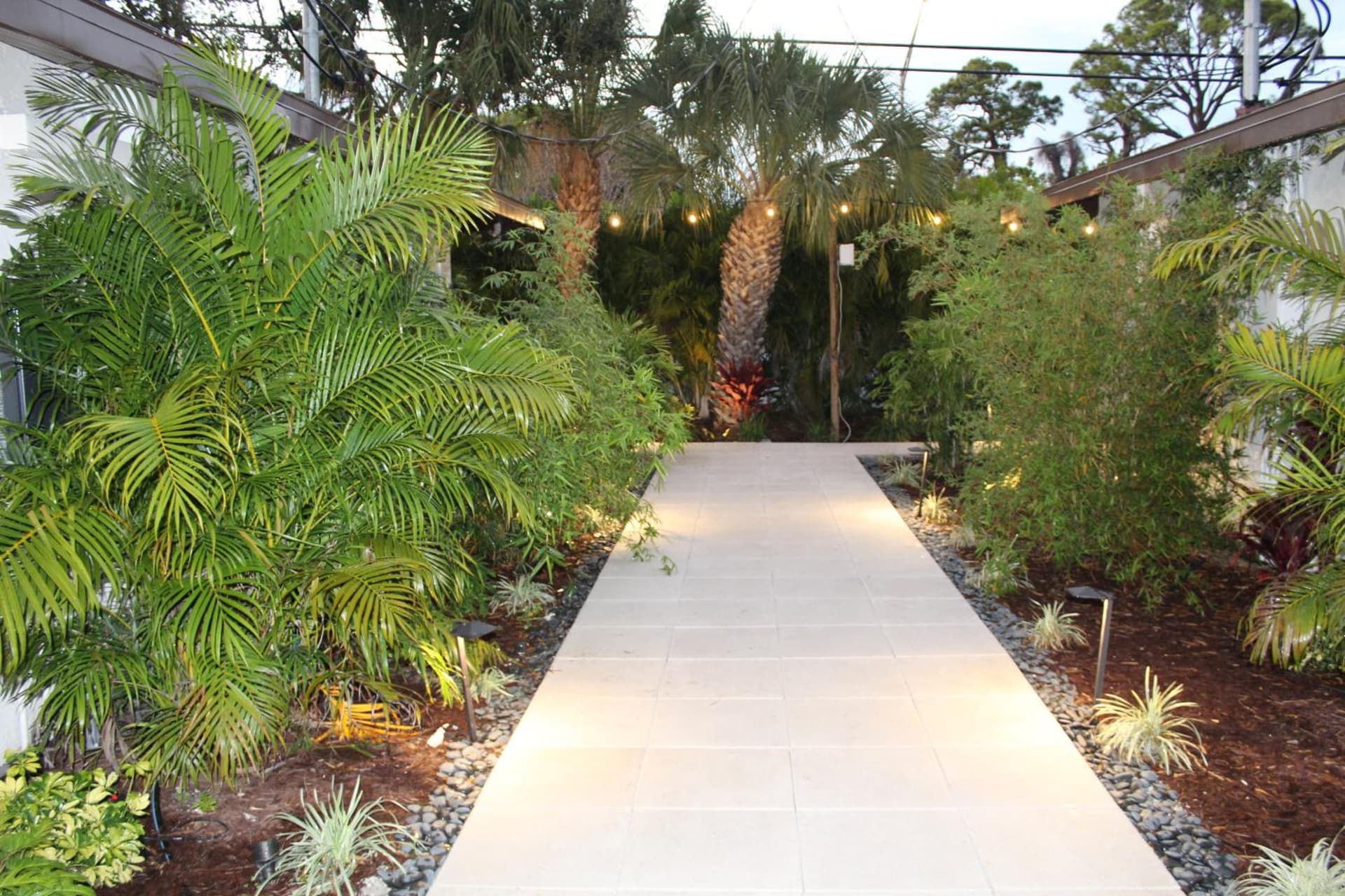 Siesta Key Palms Resort gallery photo in Sarasota, FL — image 48