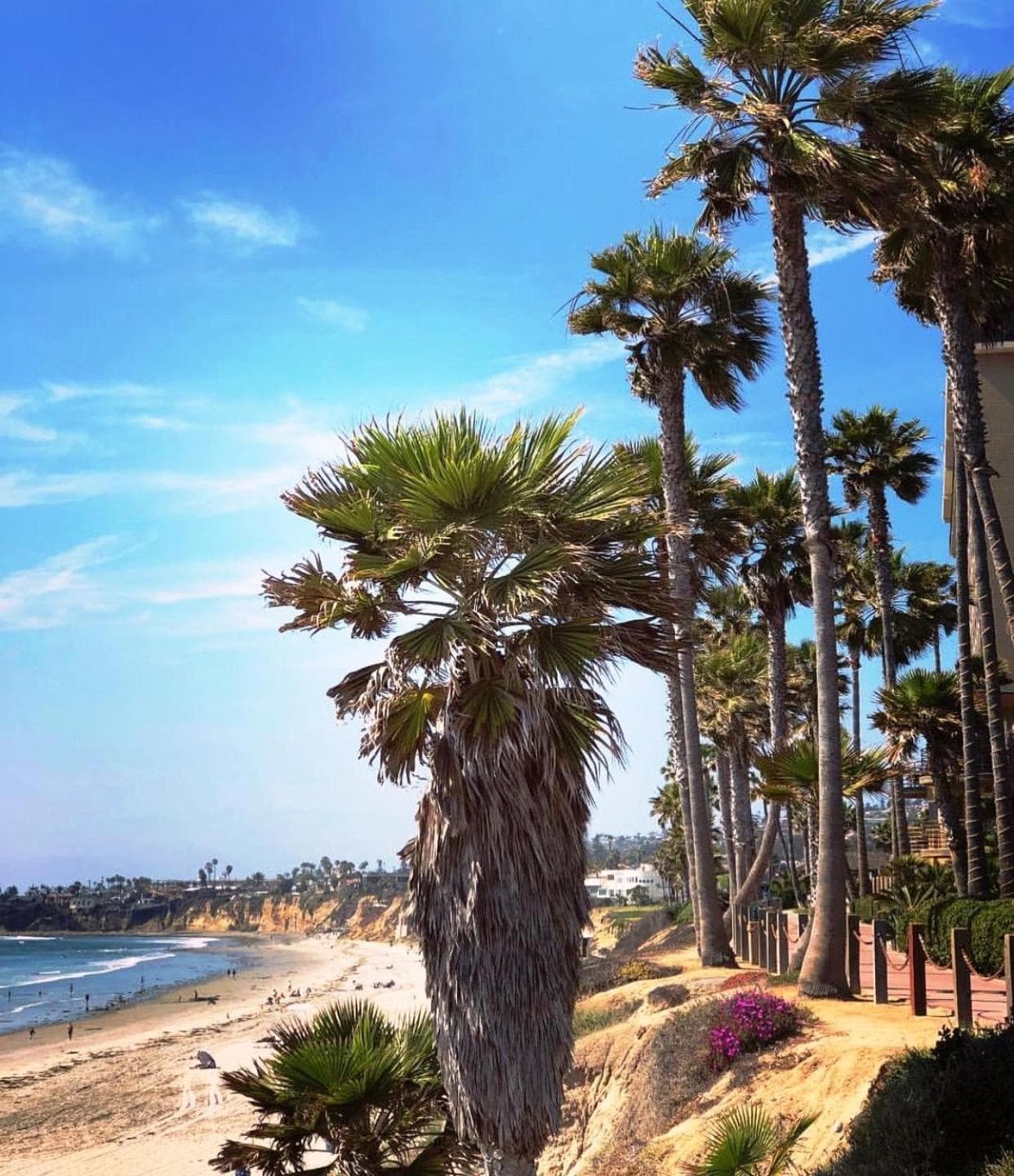 Pacific Terrace Hotel gallery photo in San Diego, CA — image 53