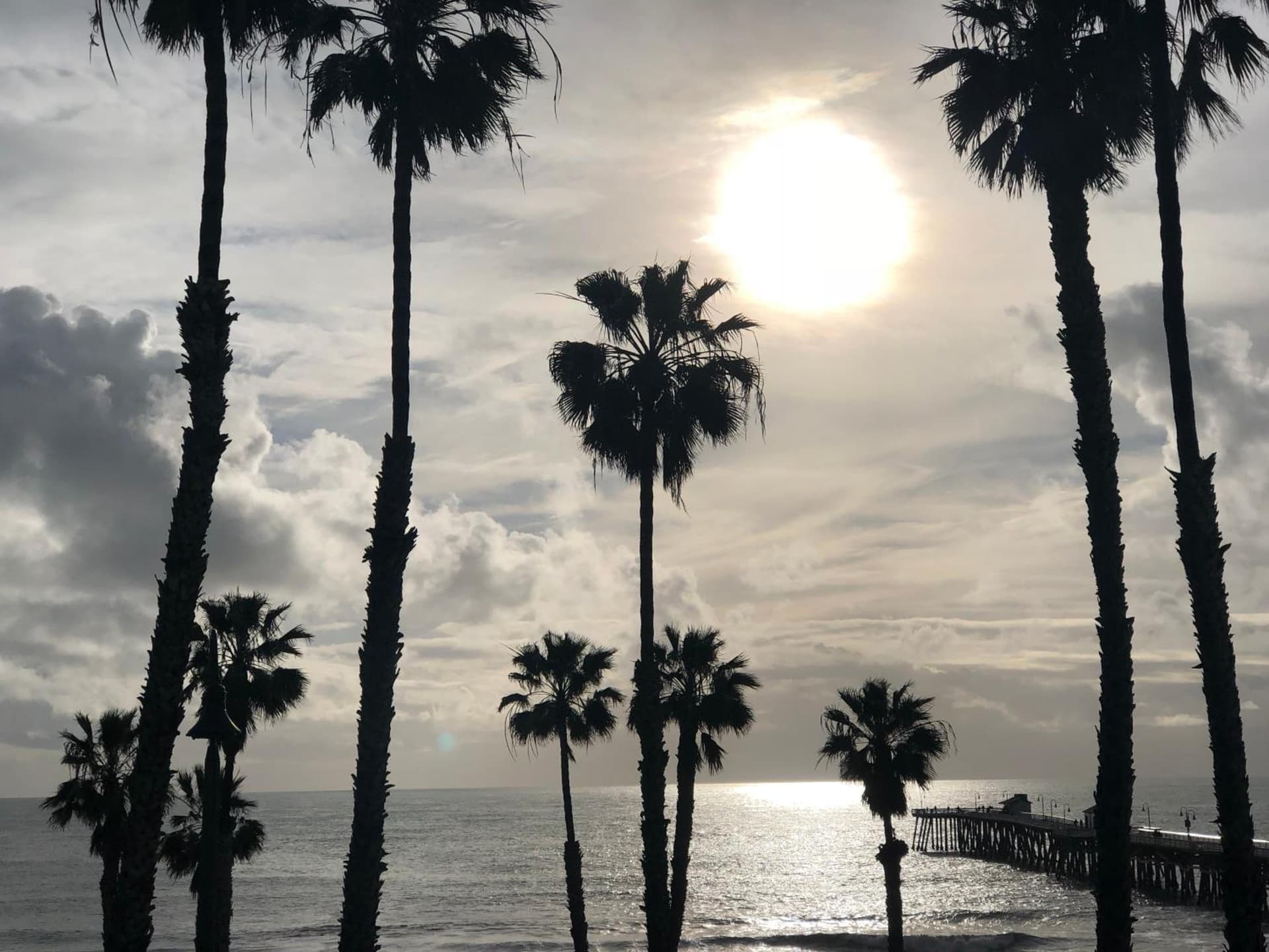 Sea Horse Resort gallery photo in San Clemente, CA — image 62