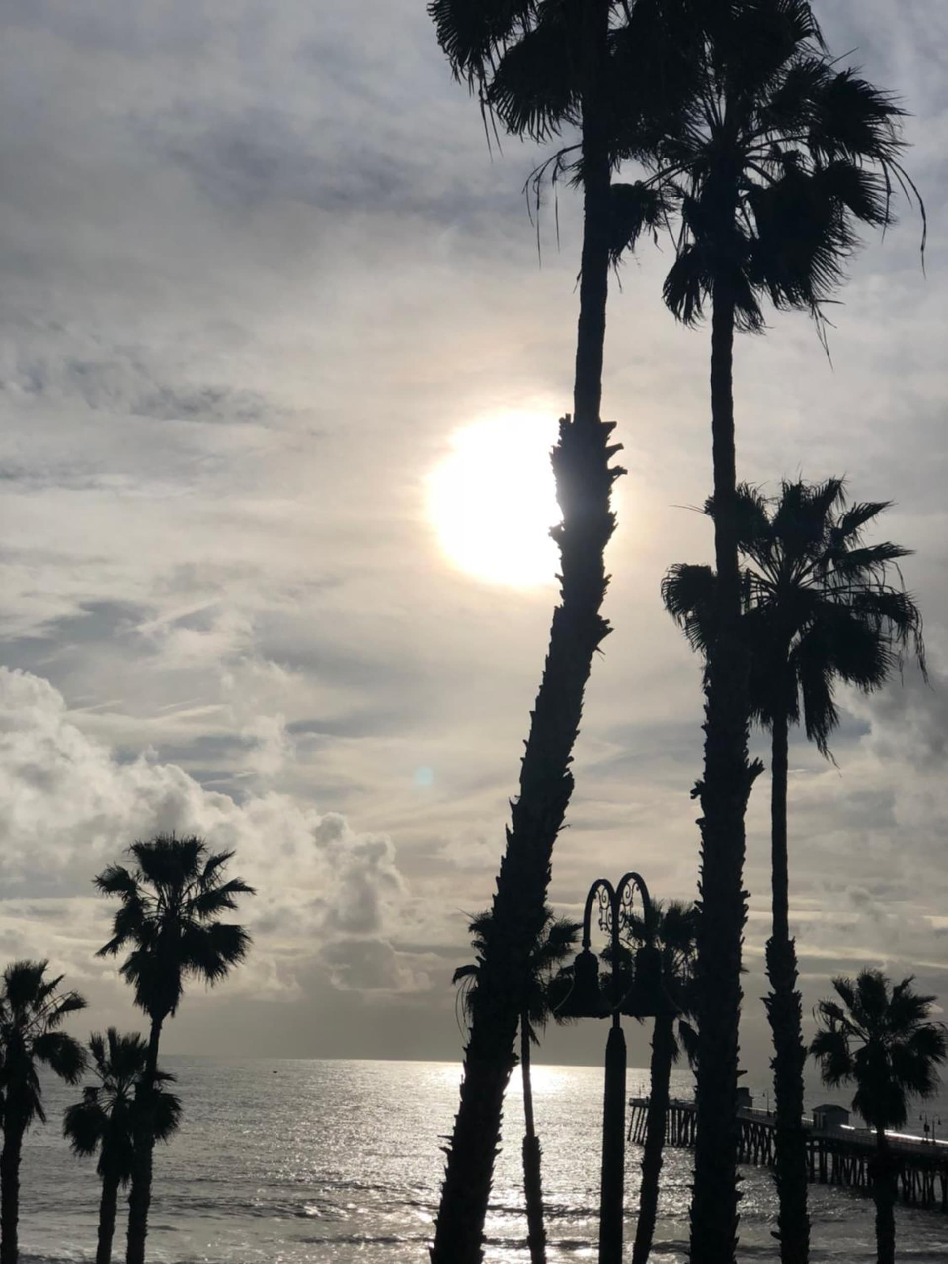 Sea Horse Resort gallery photo in San Clemente, CA — image 157