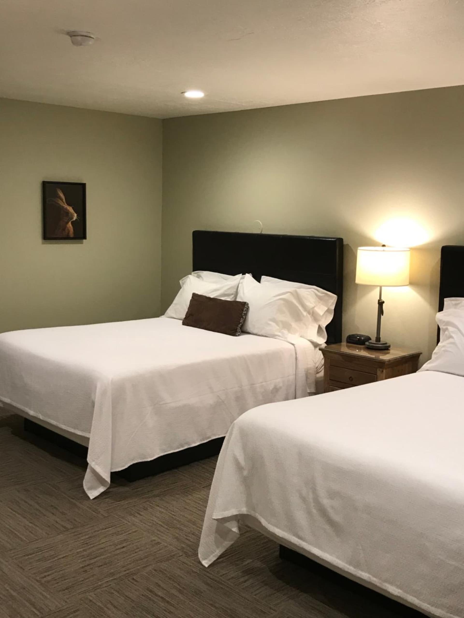 Driftwood Lodge property views in Springdale, UT — gallery photo 3