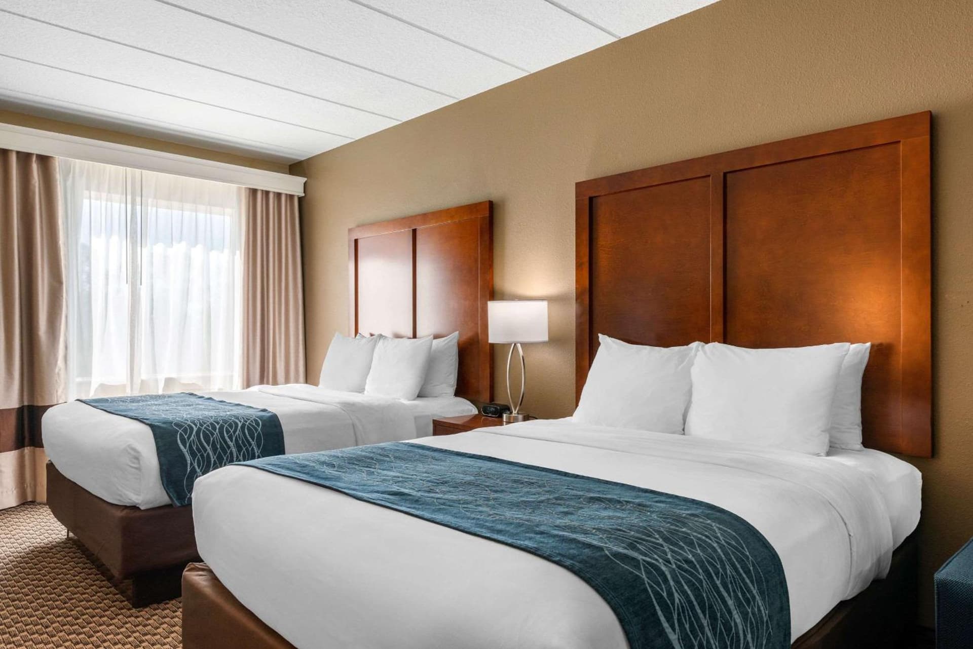 Comfort Inn & Suites Wildwood - The Villages gallery photo in Wildwood, FL — image 17