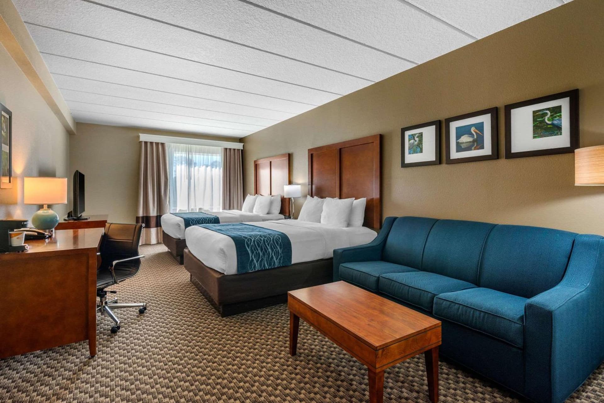 Comfort Inn & Suites Wildwood - The Villages gallery photo in Wildwood, FL — image 15