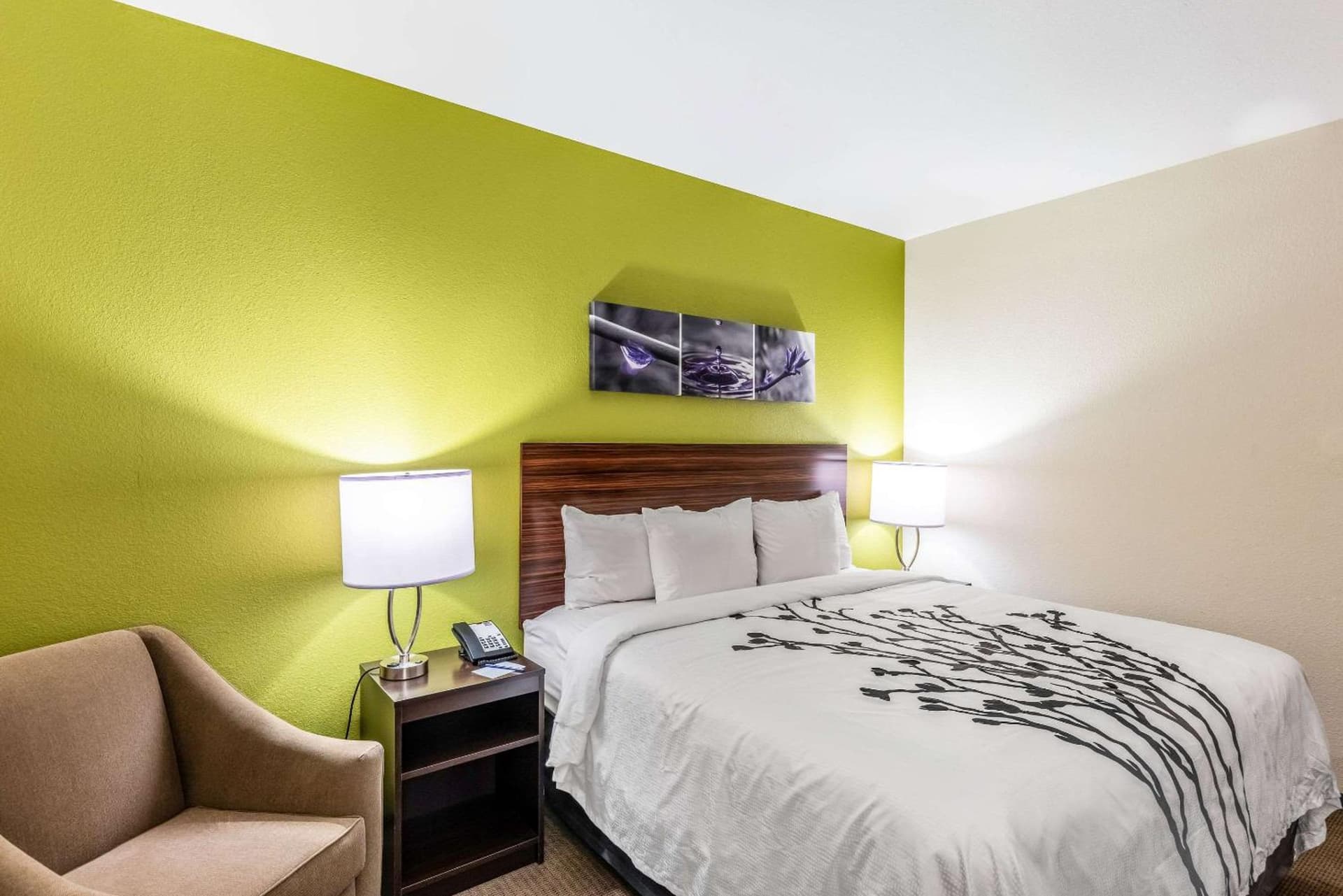 Sleep Inn & Suites Fort Worth - Fossil Creek gallery photo in Fort Worth, TX — image 18