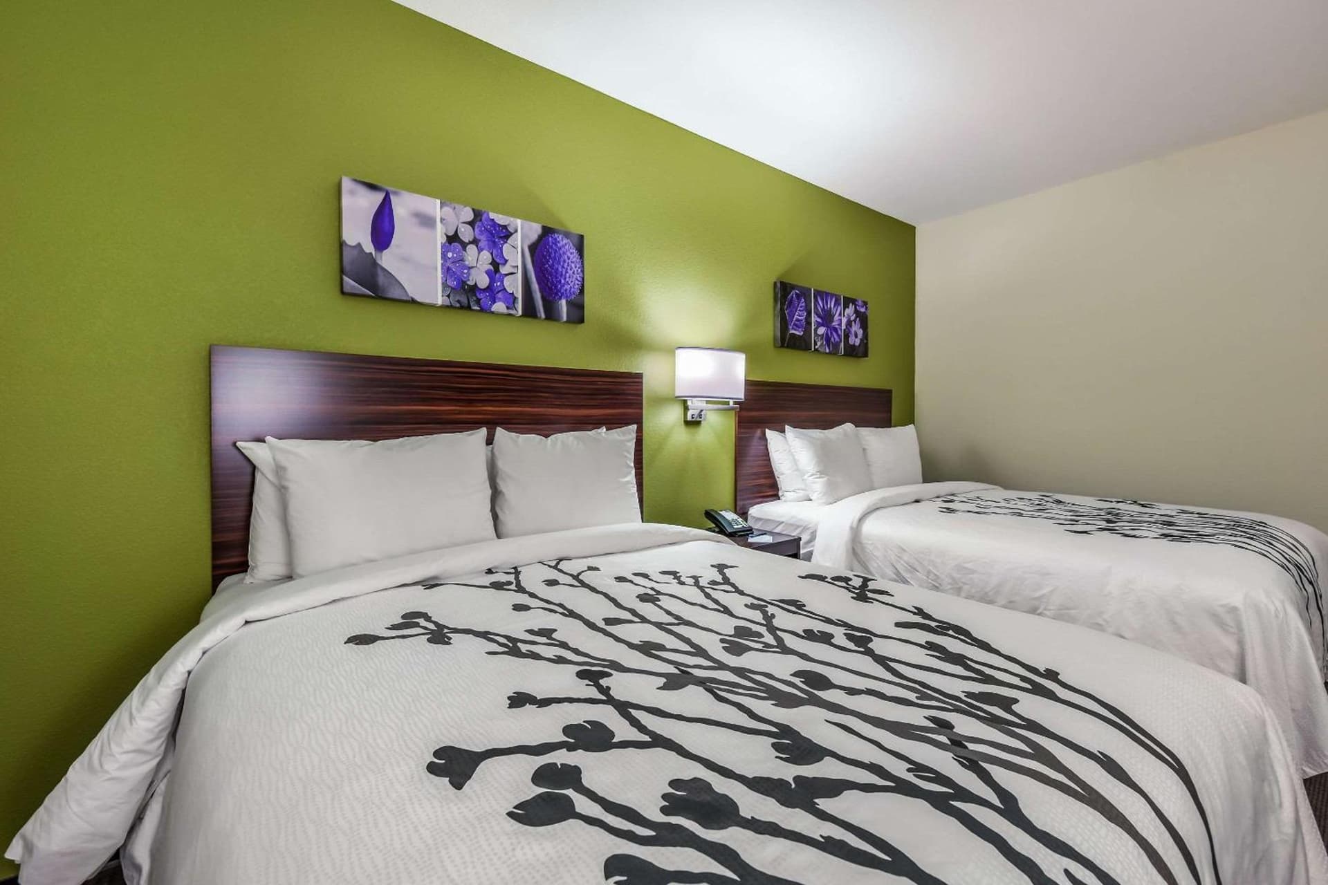 Sleep Inn & Suites Fort Worth - Fossil Creek gallery photo in Fort Worth, TX — image 22