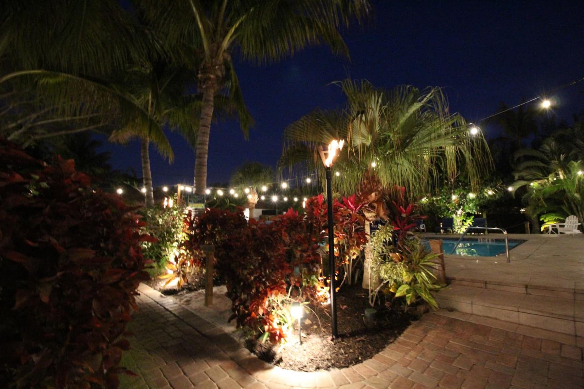Siesta Key Palms Resort gallery photo in Sarasota, FL — image 107