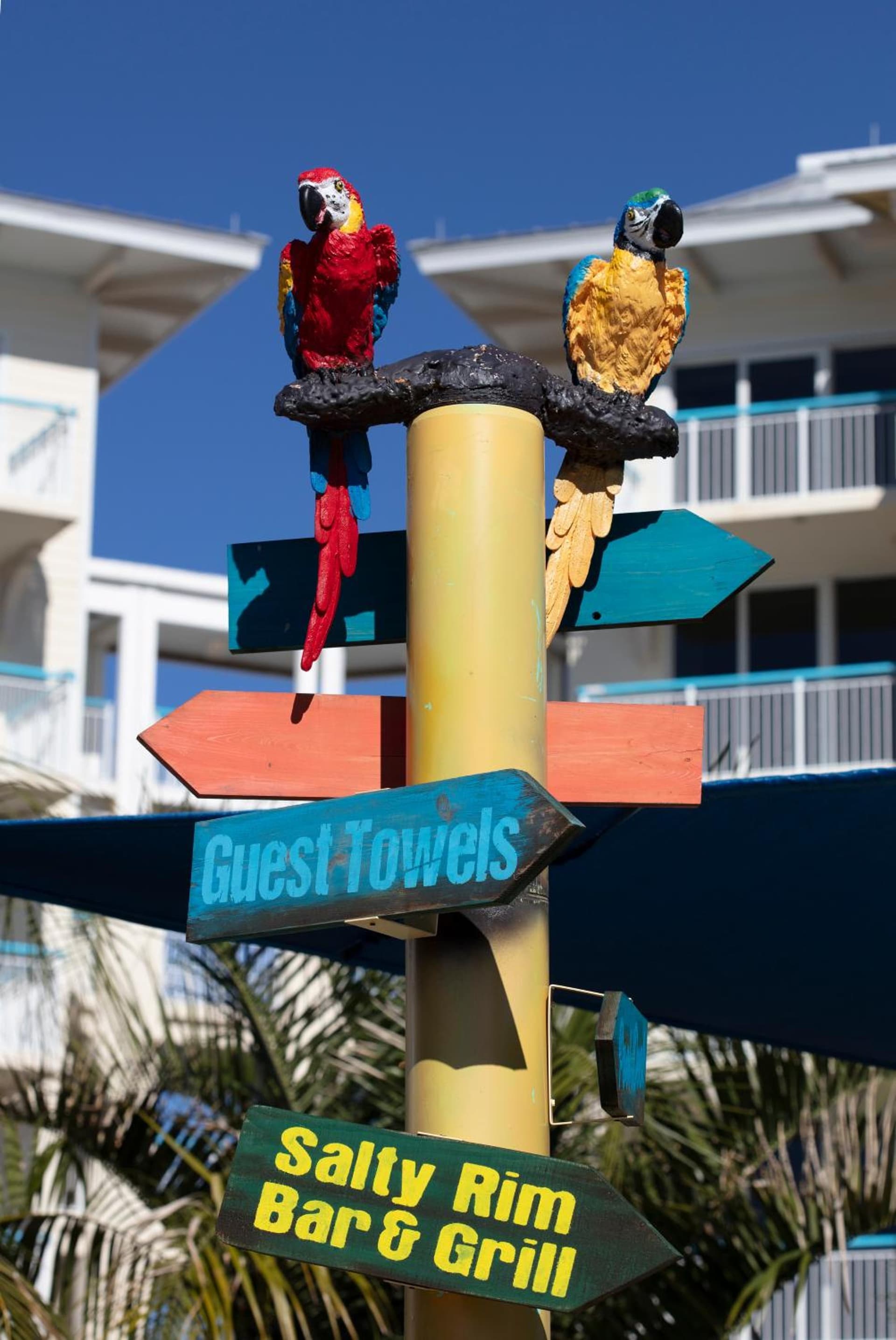 Margaritaville Resort Orlando with H2O Waterpark gallery photo in Orlando, FL — image 207