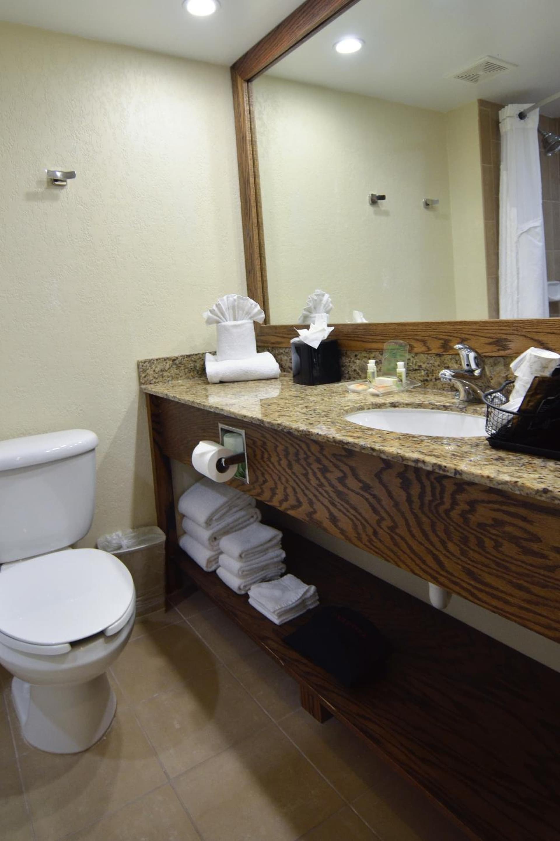 Holiday Inn - Fort Myers - Downtown Area by IHG gallery photo in Fort Myers, FL — image 30