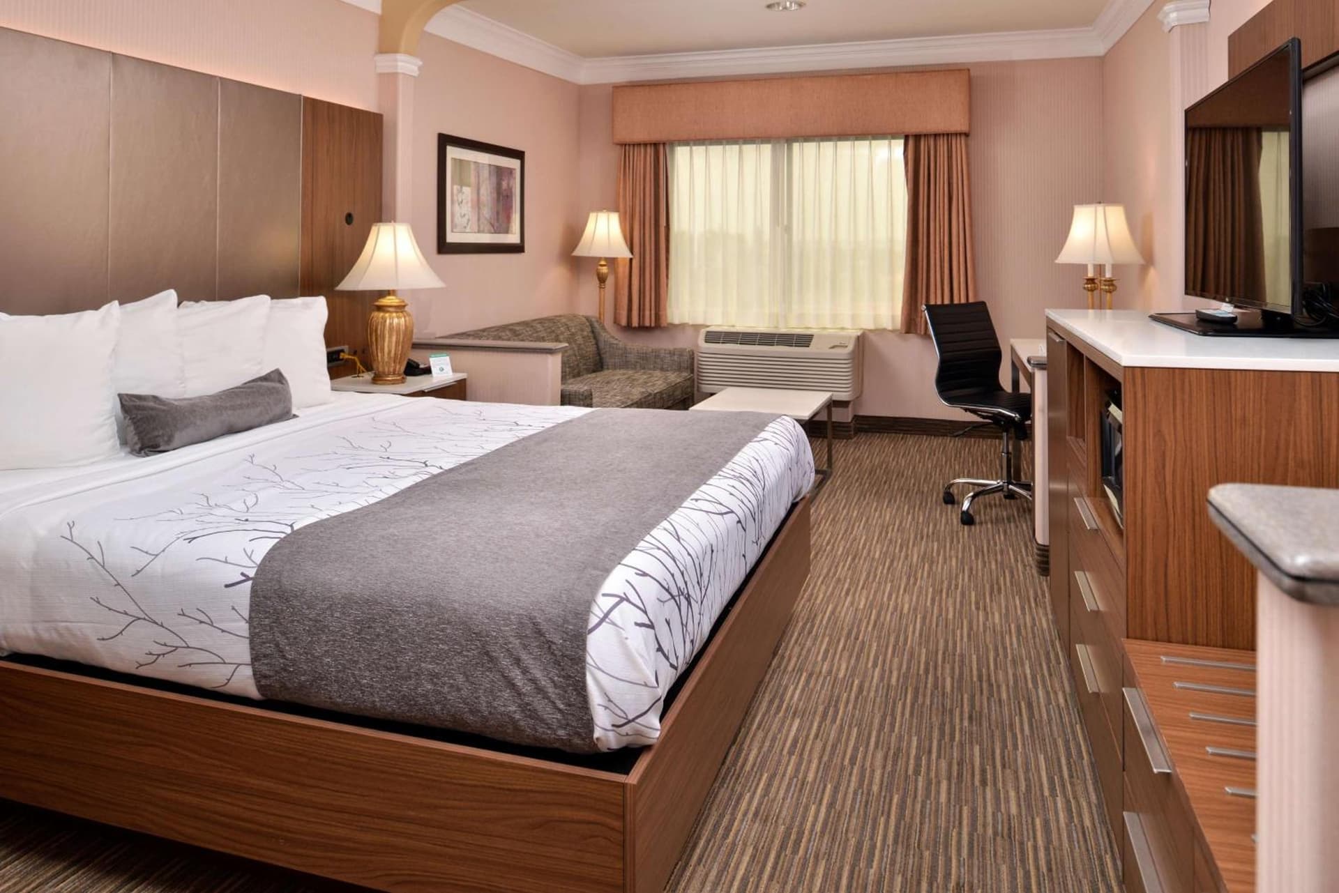 Best Western Plus Suites Hotel - LAX Airport LA Stadium gallery photo in Inglewood, CA — image 28
