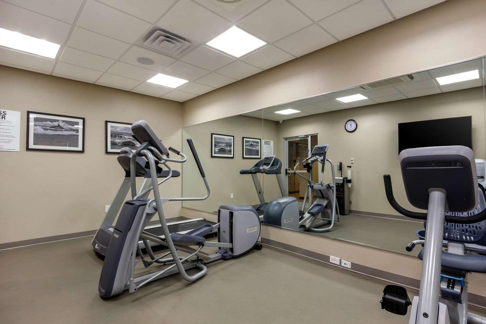 Sleep Inn & Suites Tampa South gallery photo in Tampa, FL — image 10