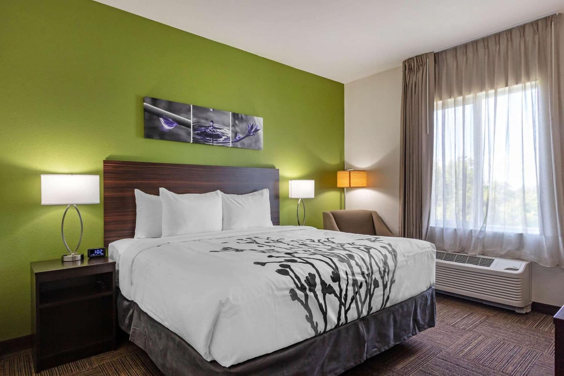Sleep Inn & Suites Tampa South gallery photo in Tampa, FL — image 40