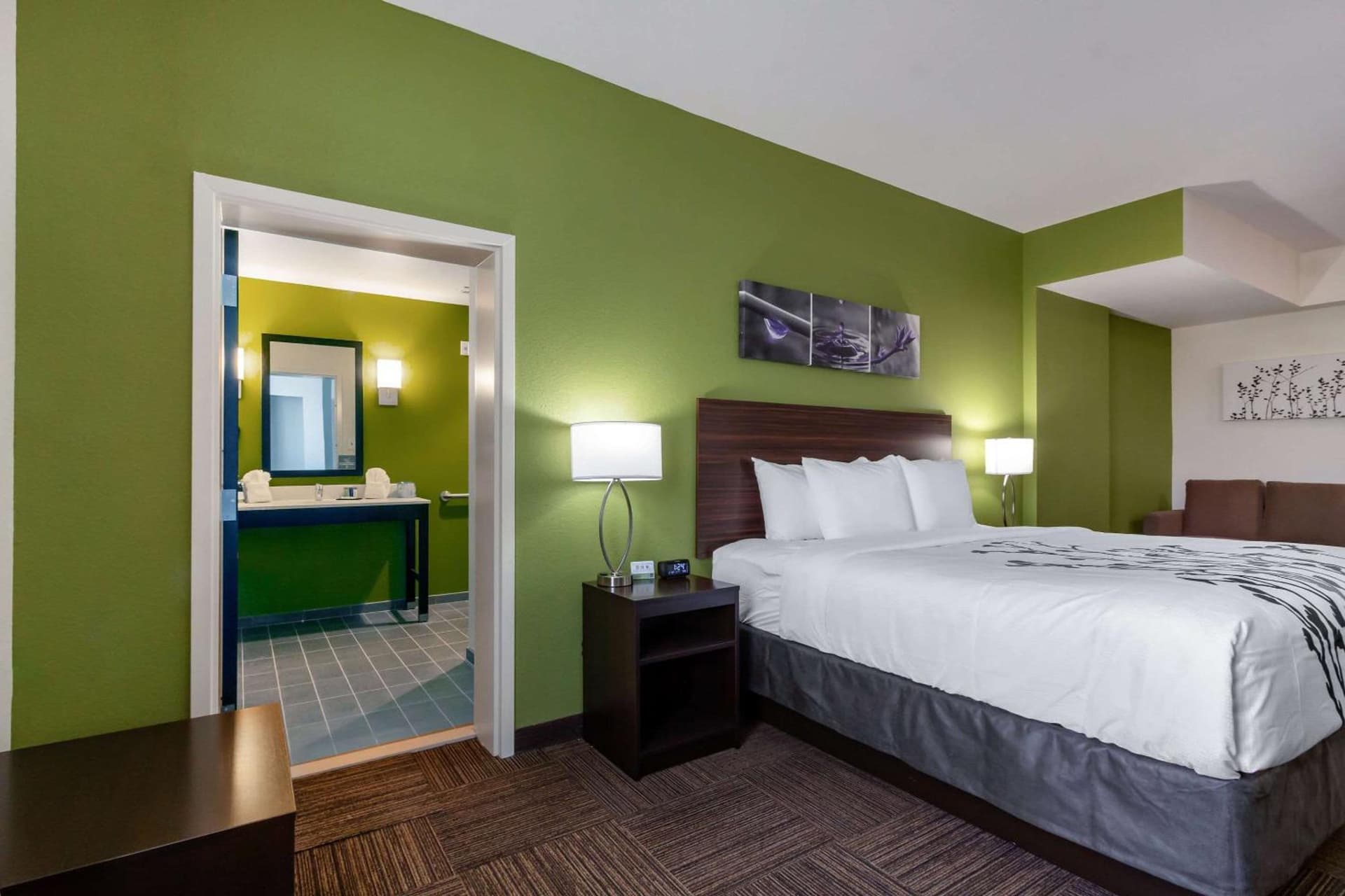 Sleep Inn & Suites Tampa South gallery photo in Tampa, FL — image 21