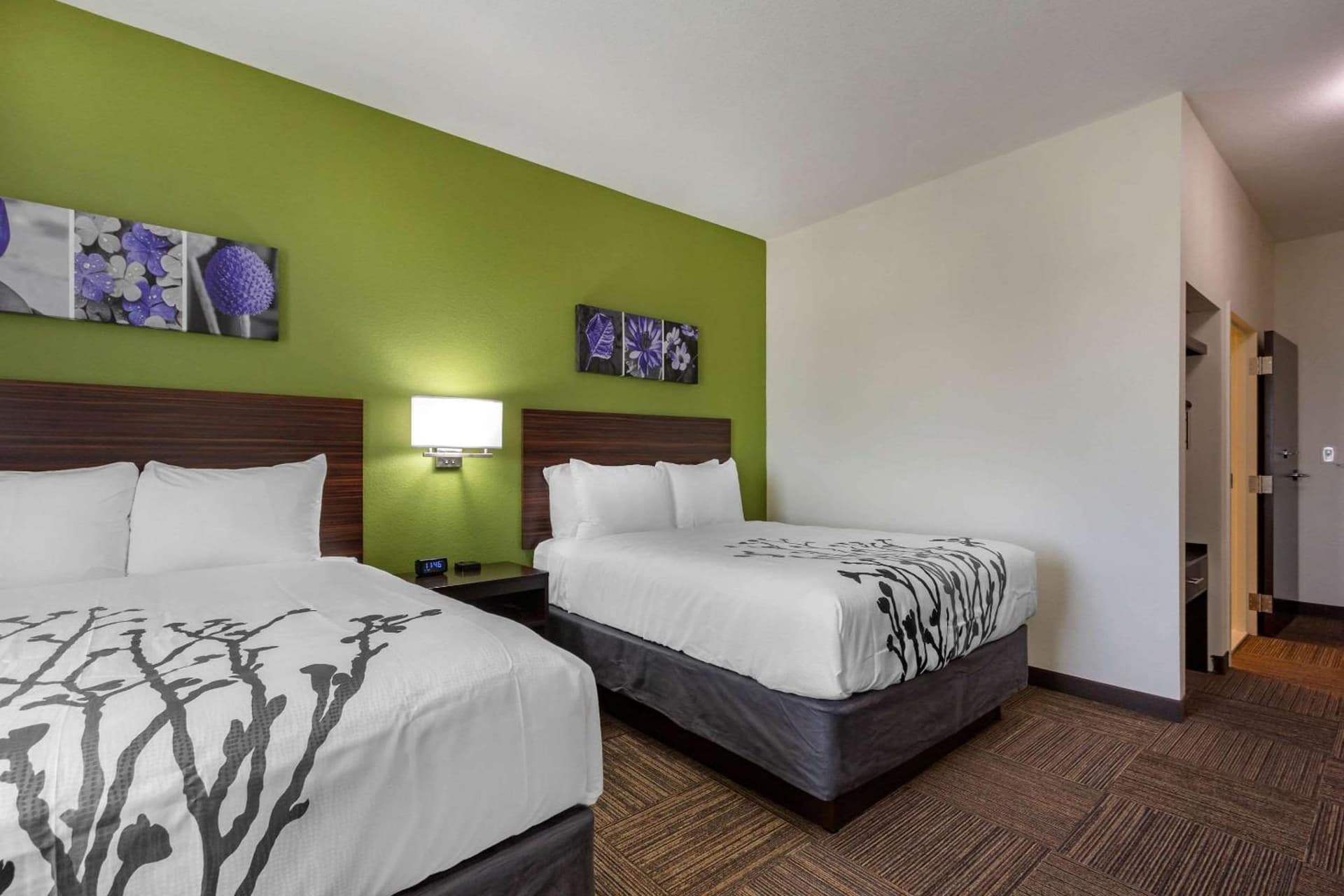 Sleep Inn & Suites Tampa South gallery photo in Tampa, FL — image 38