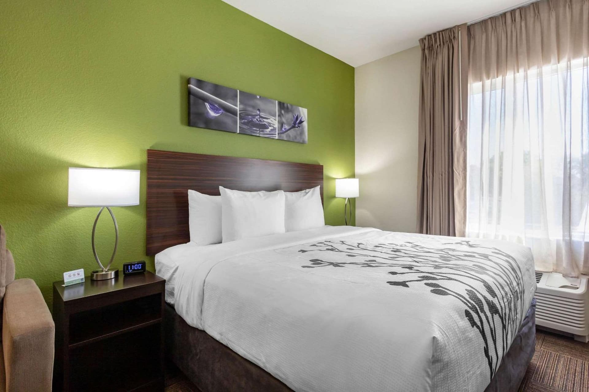 Sleep Inn & Suites Tampa South gallery photo in Tampa, FL — image 41