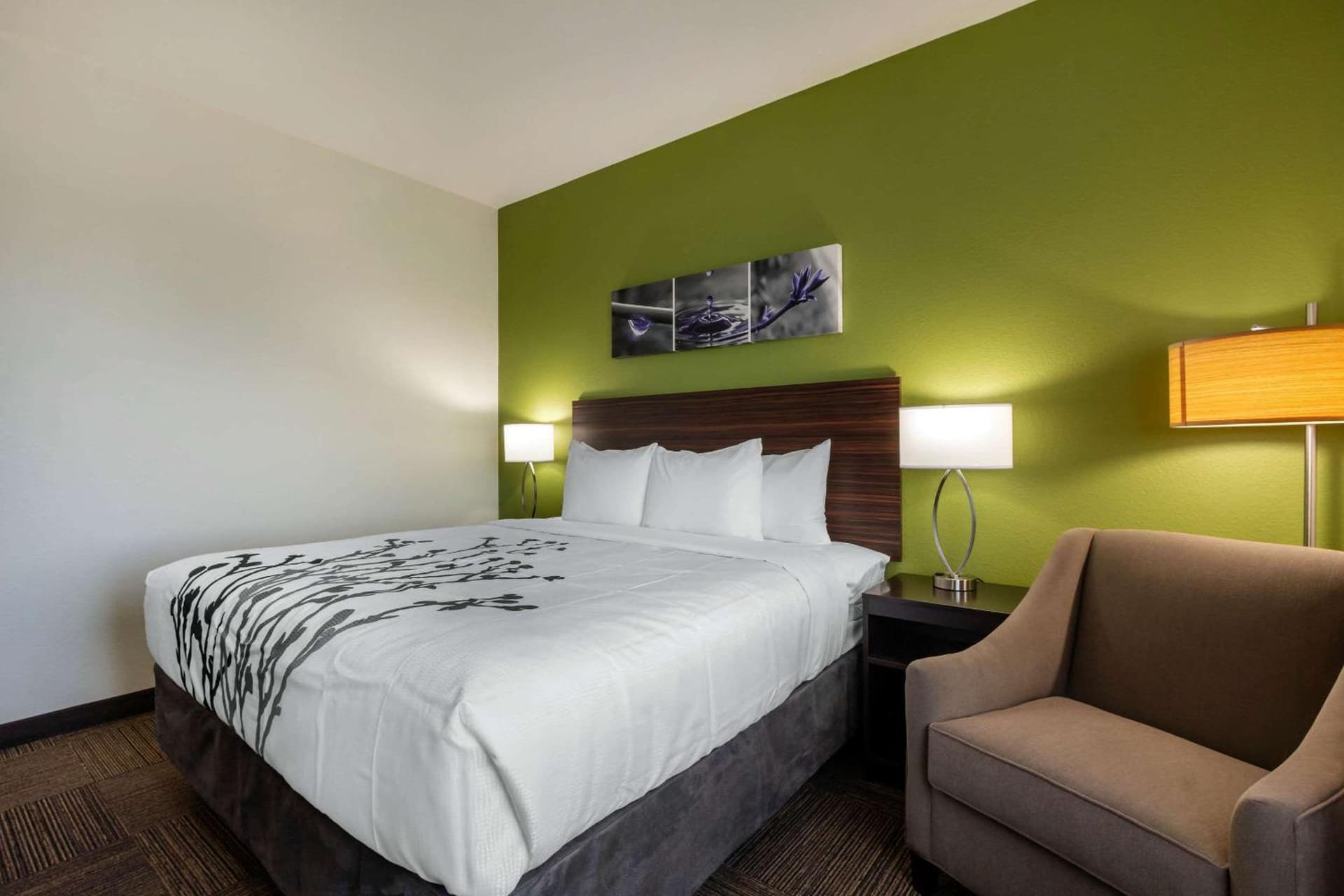 Sleep Inn & Suites Tampa South gallery photo in Tampa, FL — image 15