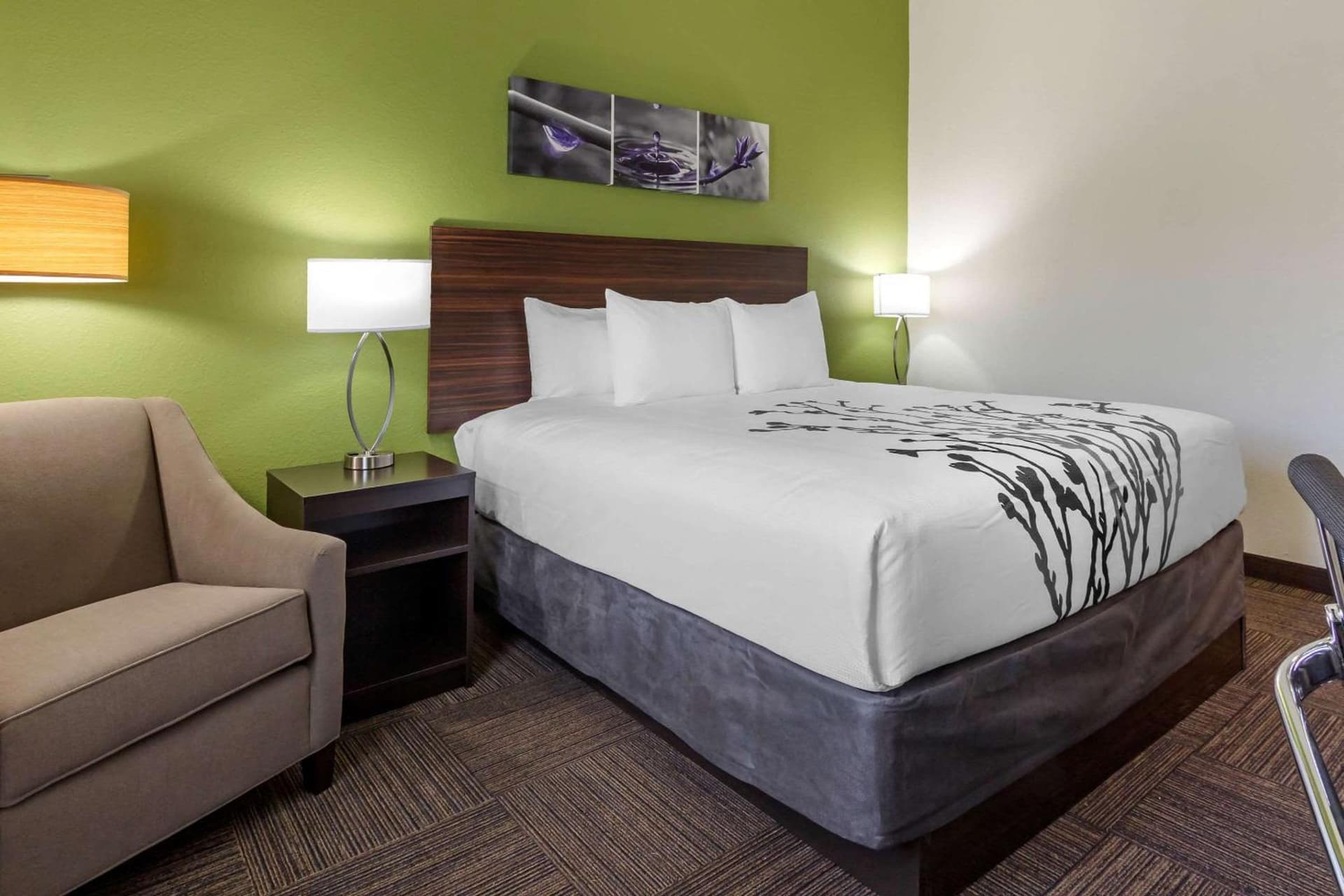 Sleep Inn & Suites Tampa South gallery photo in Tampa, FL — image 34
