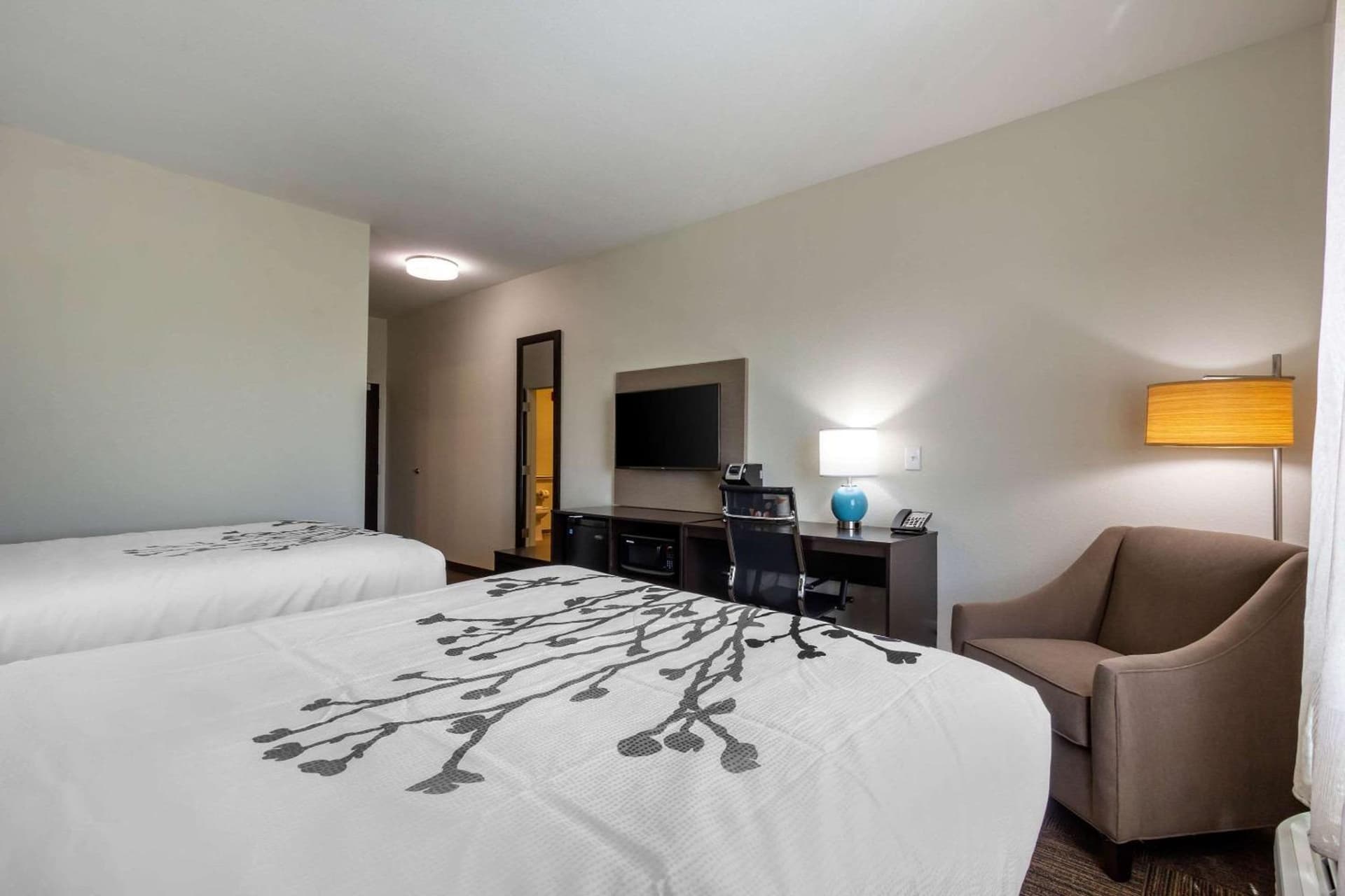 Sleep Inn & Suites Tampa South gallery photo in Tampa, FL — image 9